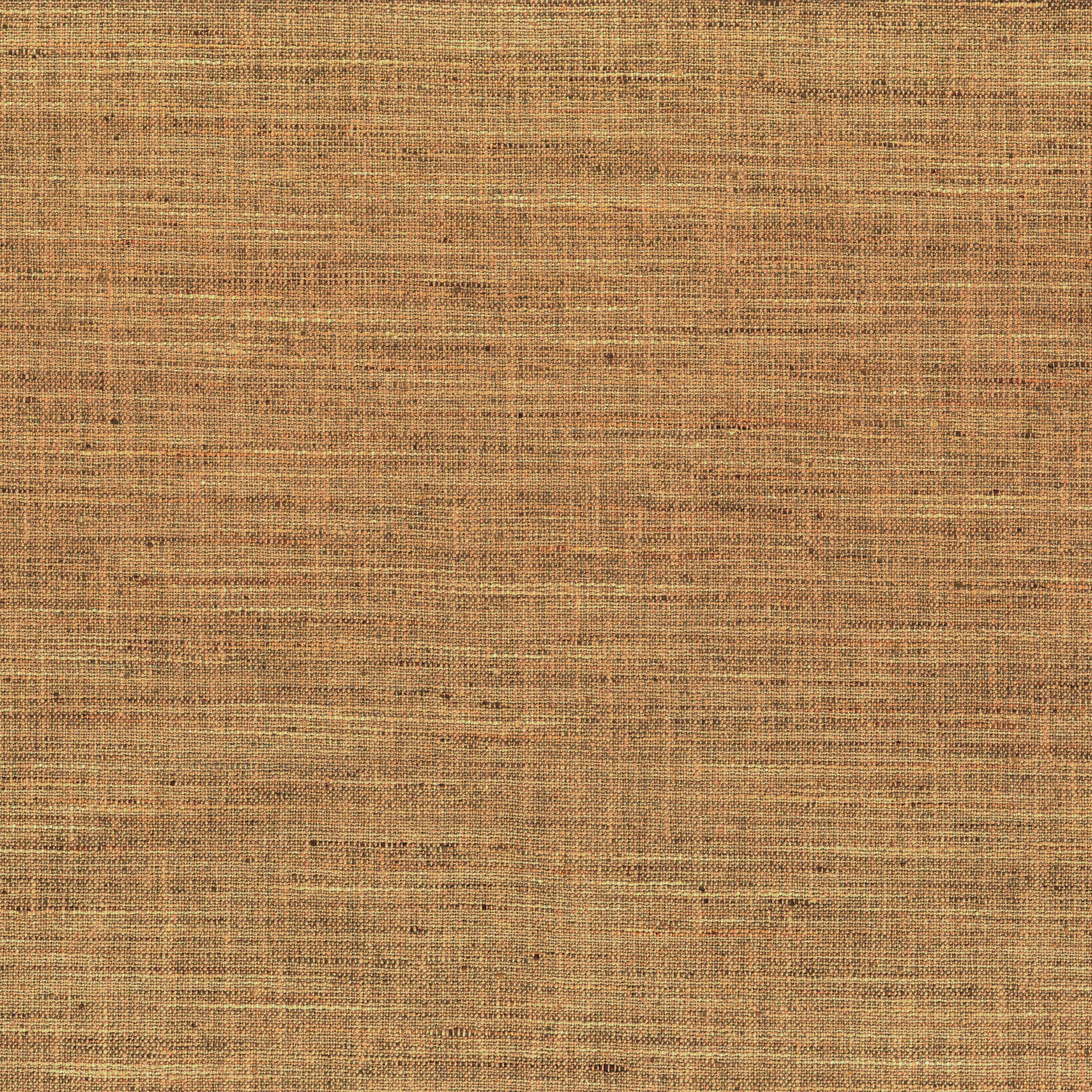 POLO AMBRE
