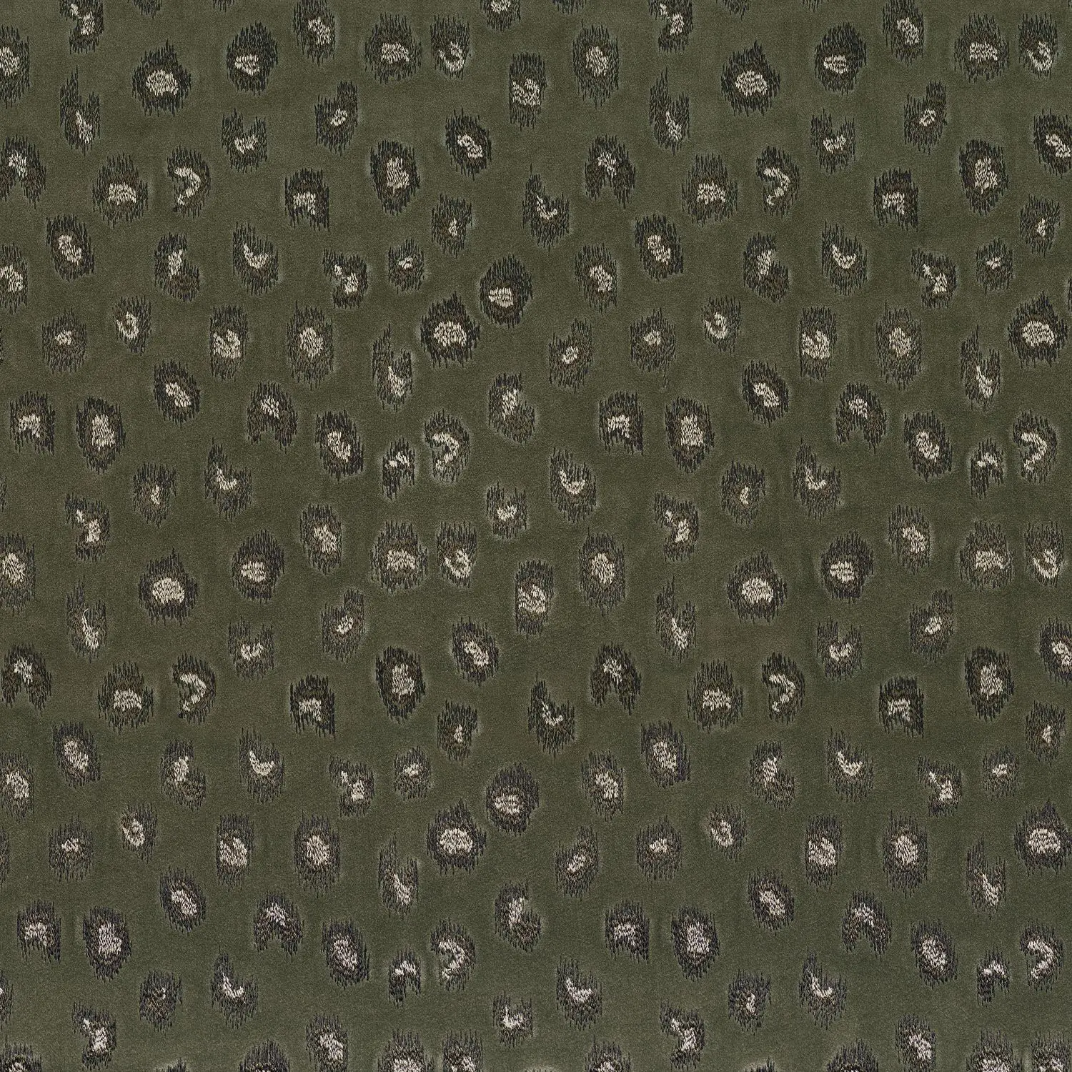 Casamance - DAIM KAKI