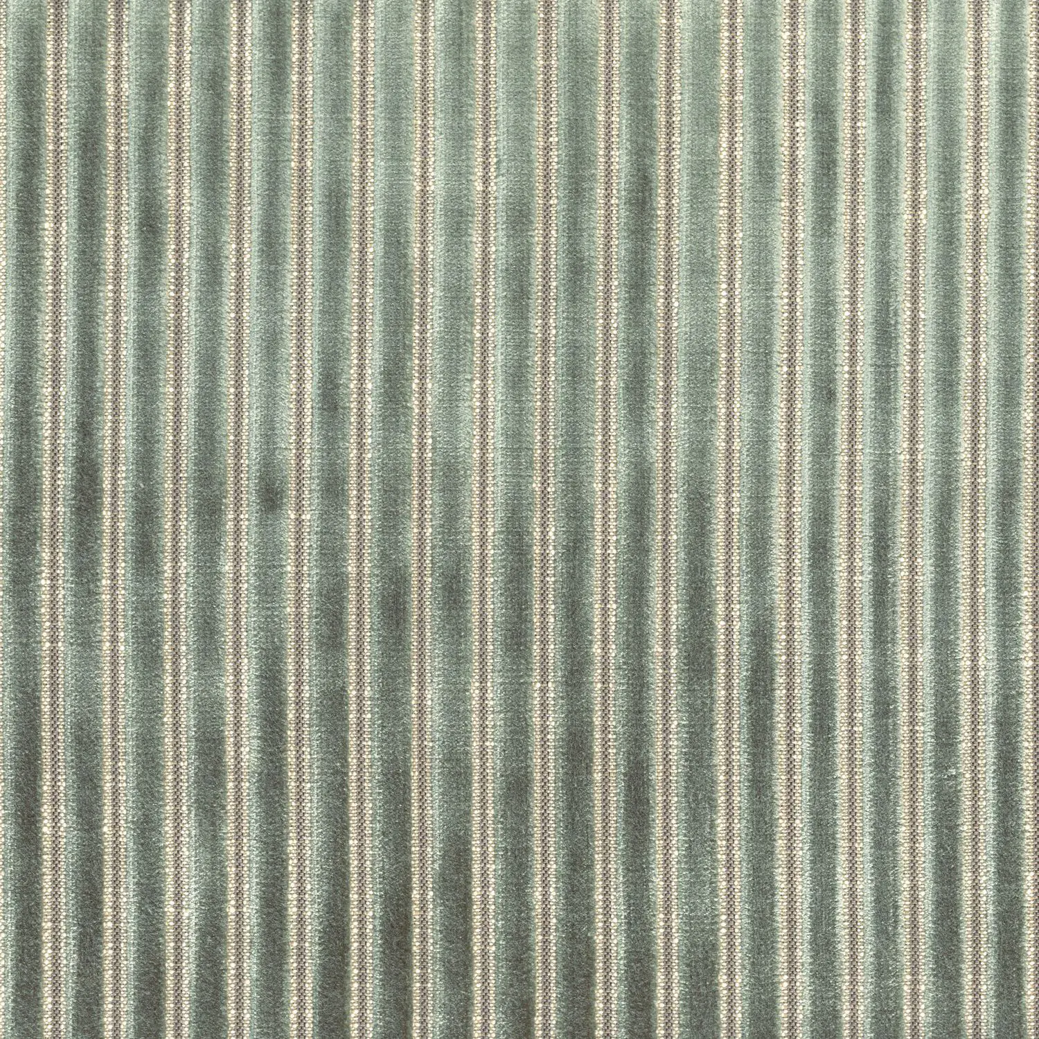 Casamance - ZEBU EUCALYPTUS