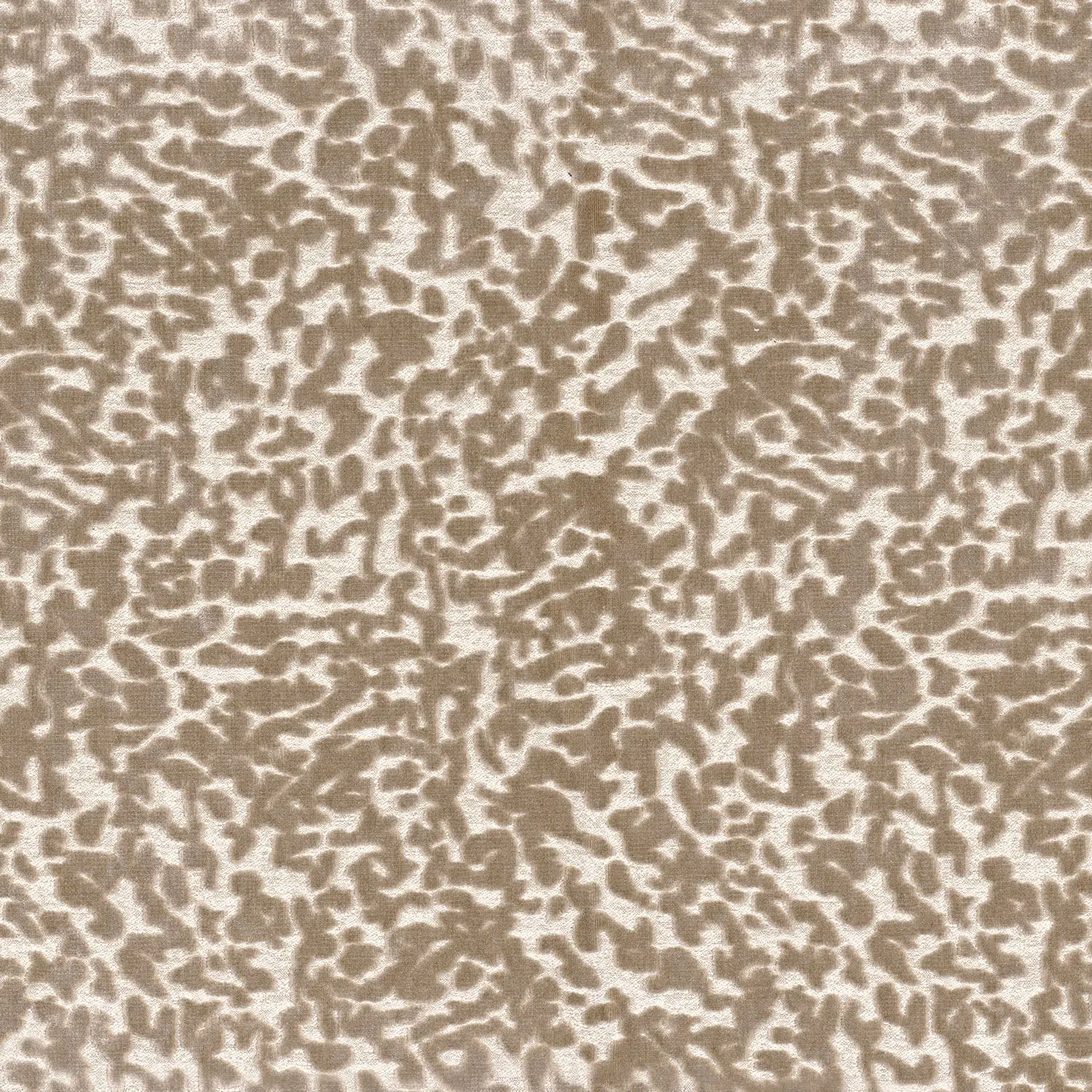 Casamance - OCEMA BEIGE