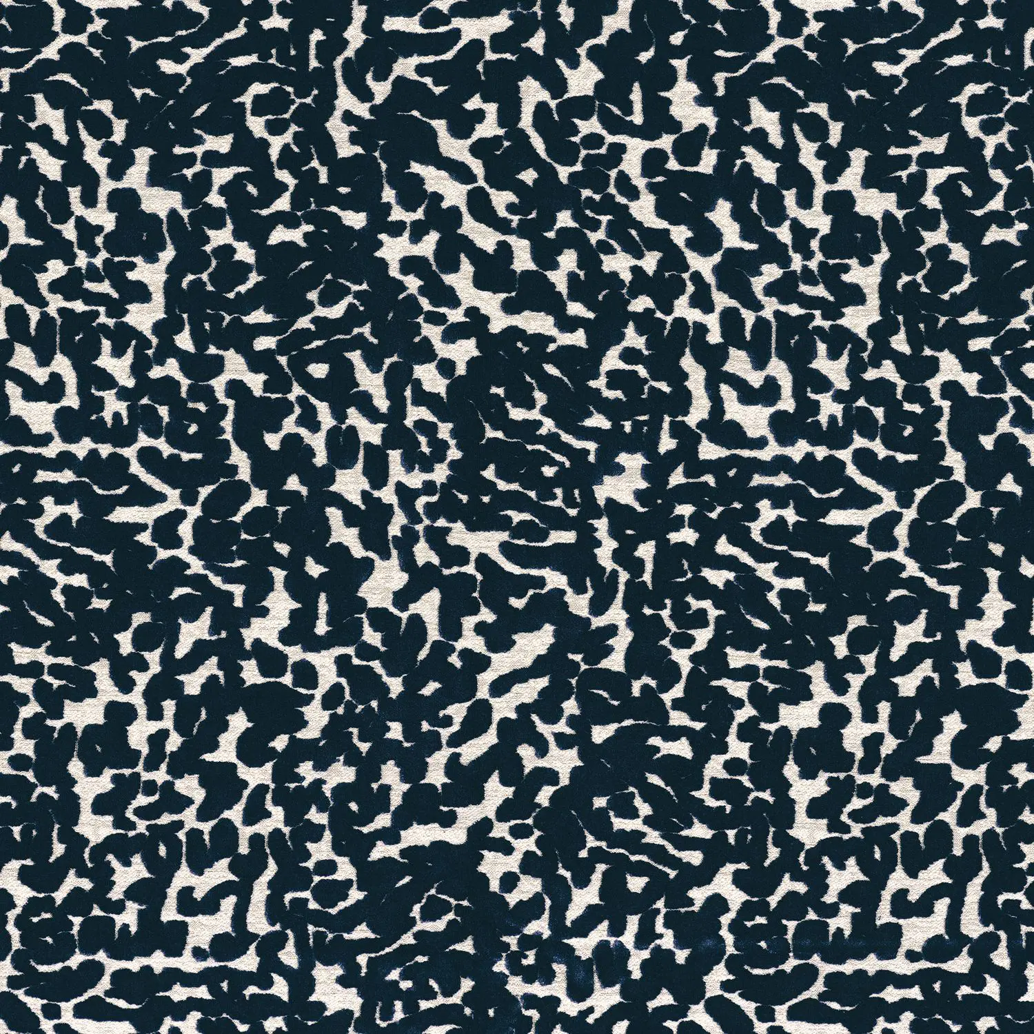 Casamance - OCEMA MARINE