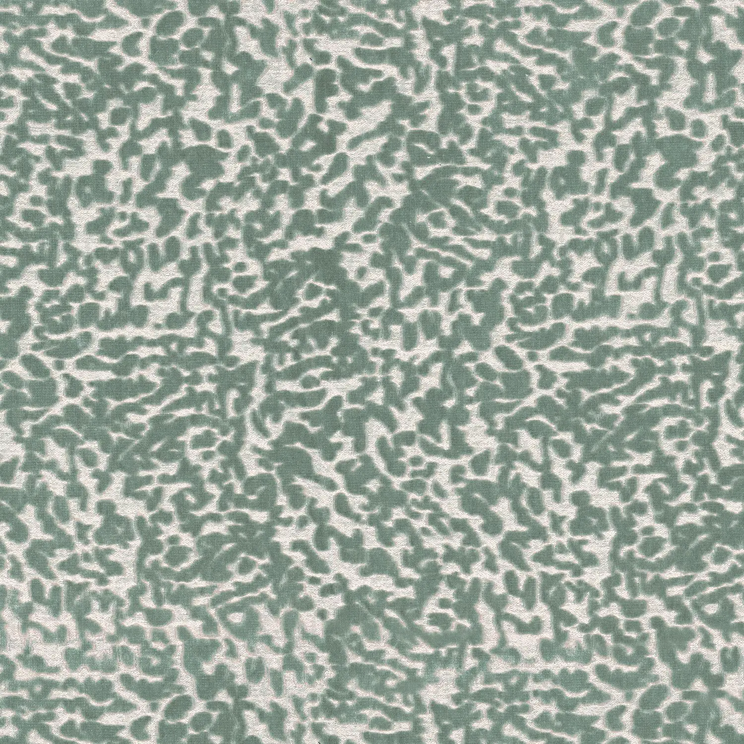 Casamance - OCEMA EUCALYPTUS