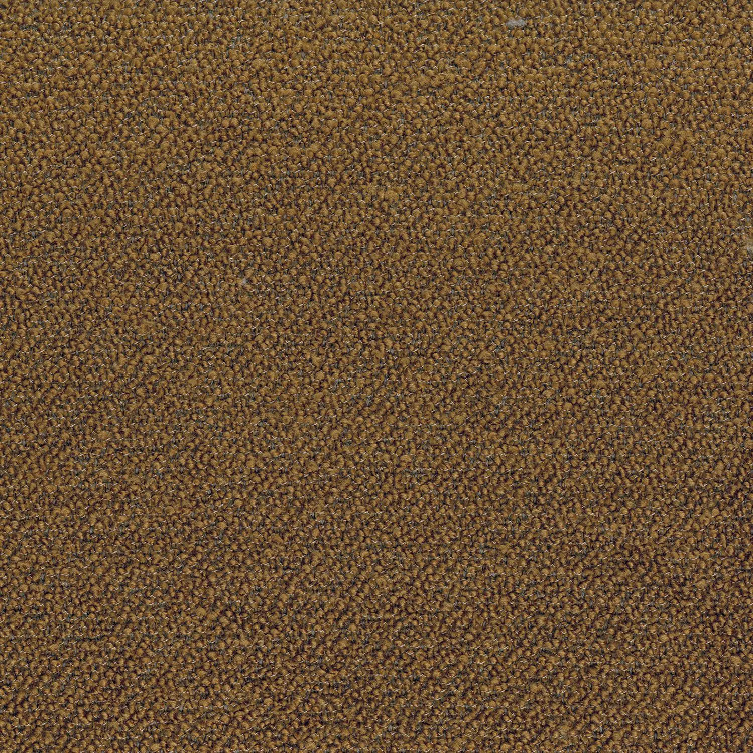 Casamance - ABRUZZES TABAC