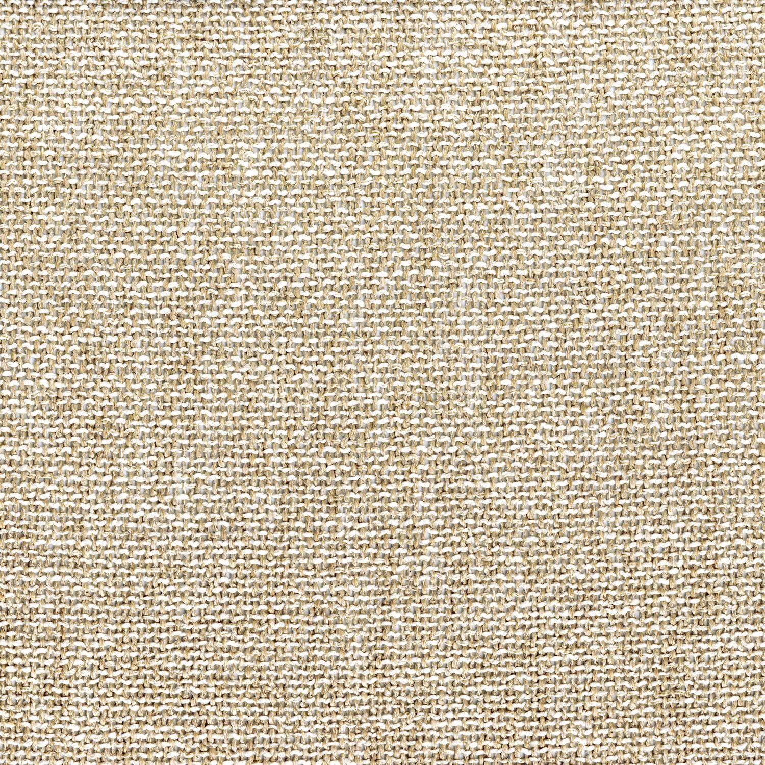 NIVALIS SABLE