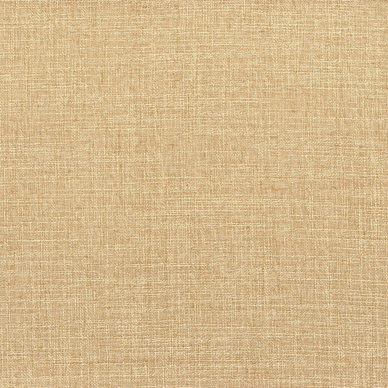 Mostrar el producto FAVORI RECYCLE CHAMPAGNE del fabricante Casamance