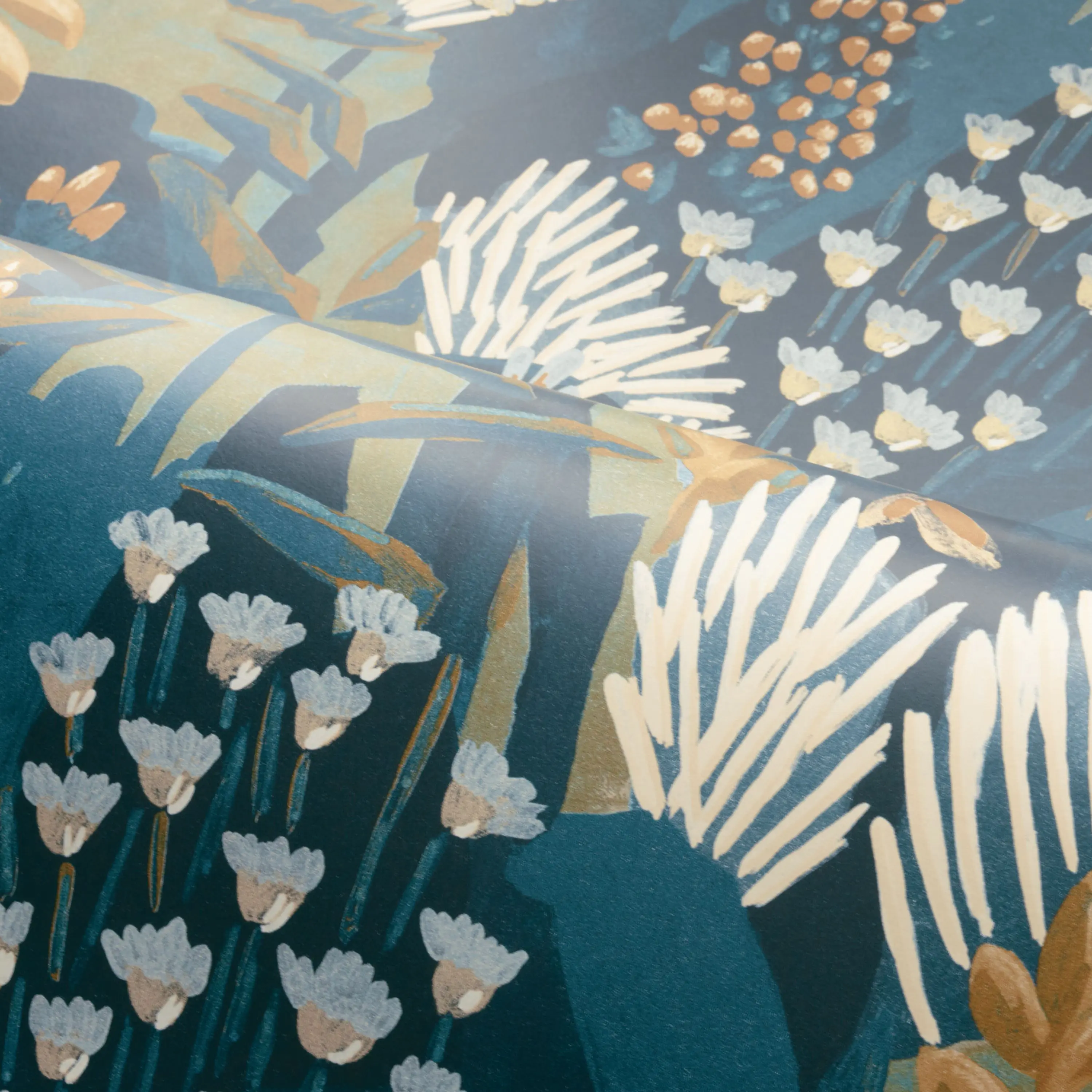 Casamance - ERICA MARINE/OCRE