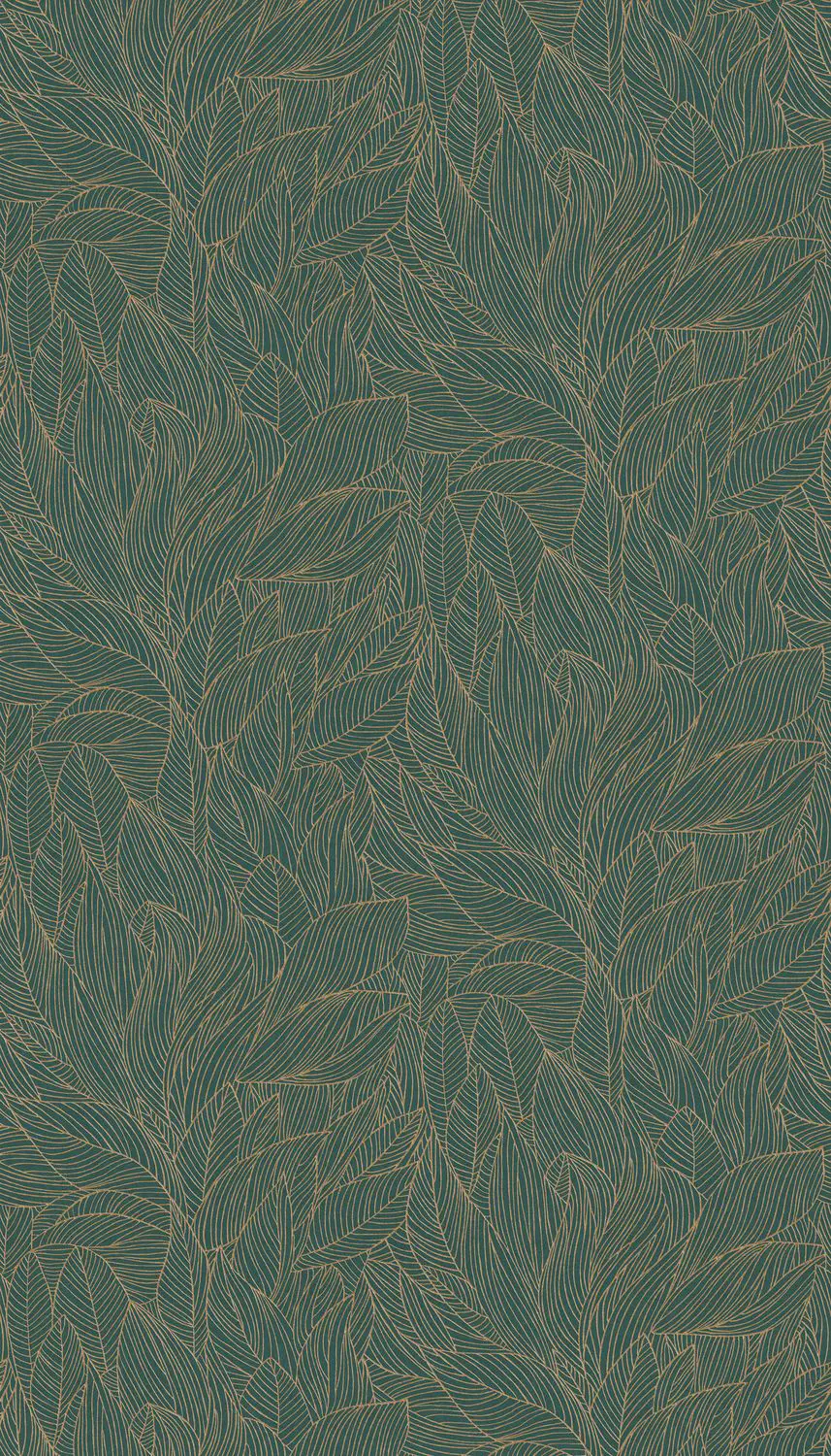 Casamance - HOSTA JASPE/DORÉ