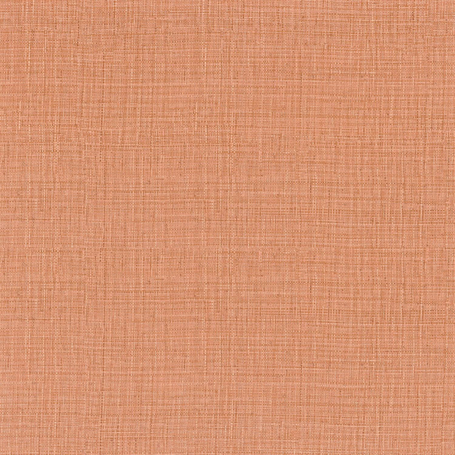 SIERRA CORAIL