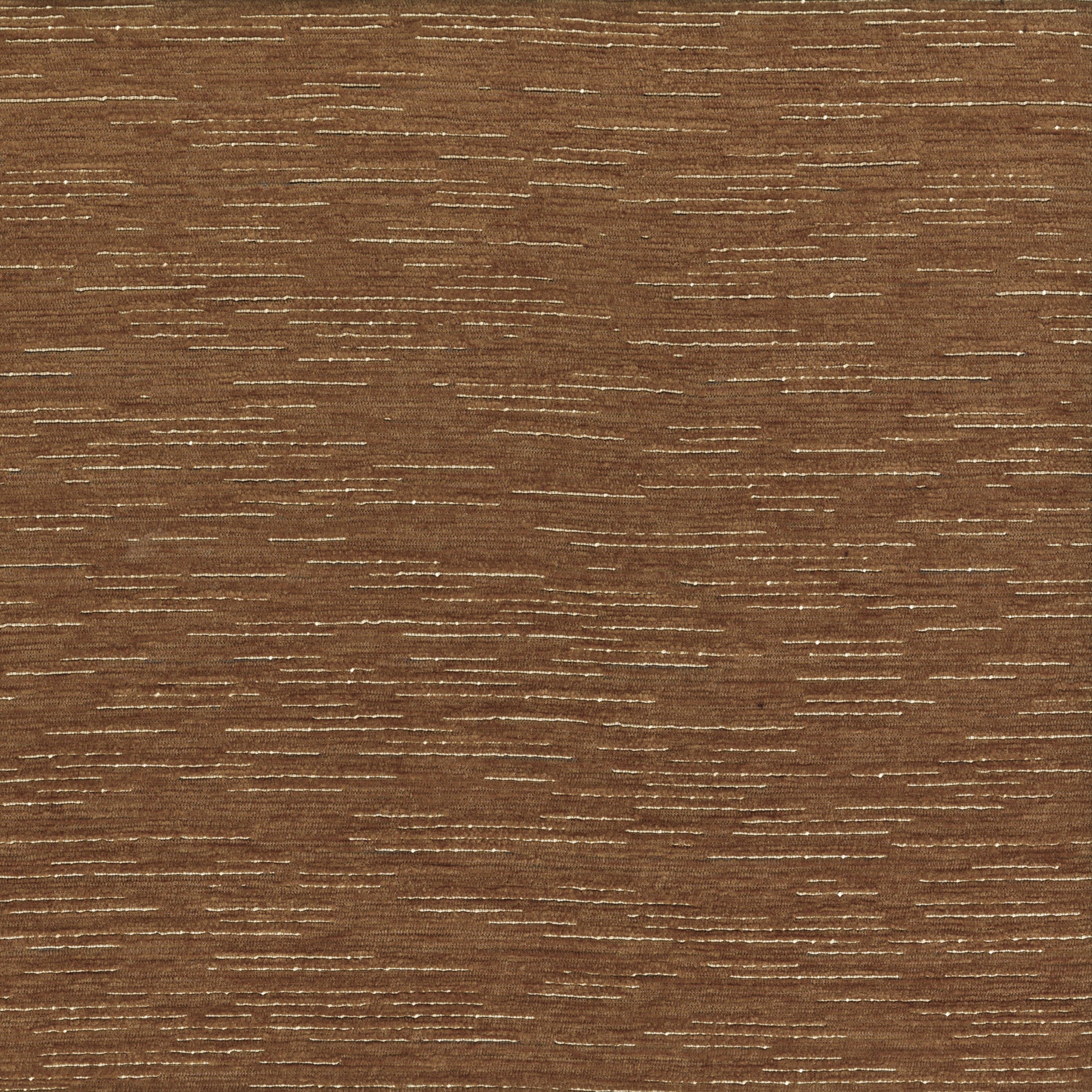 SEGRETI CAMEL