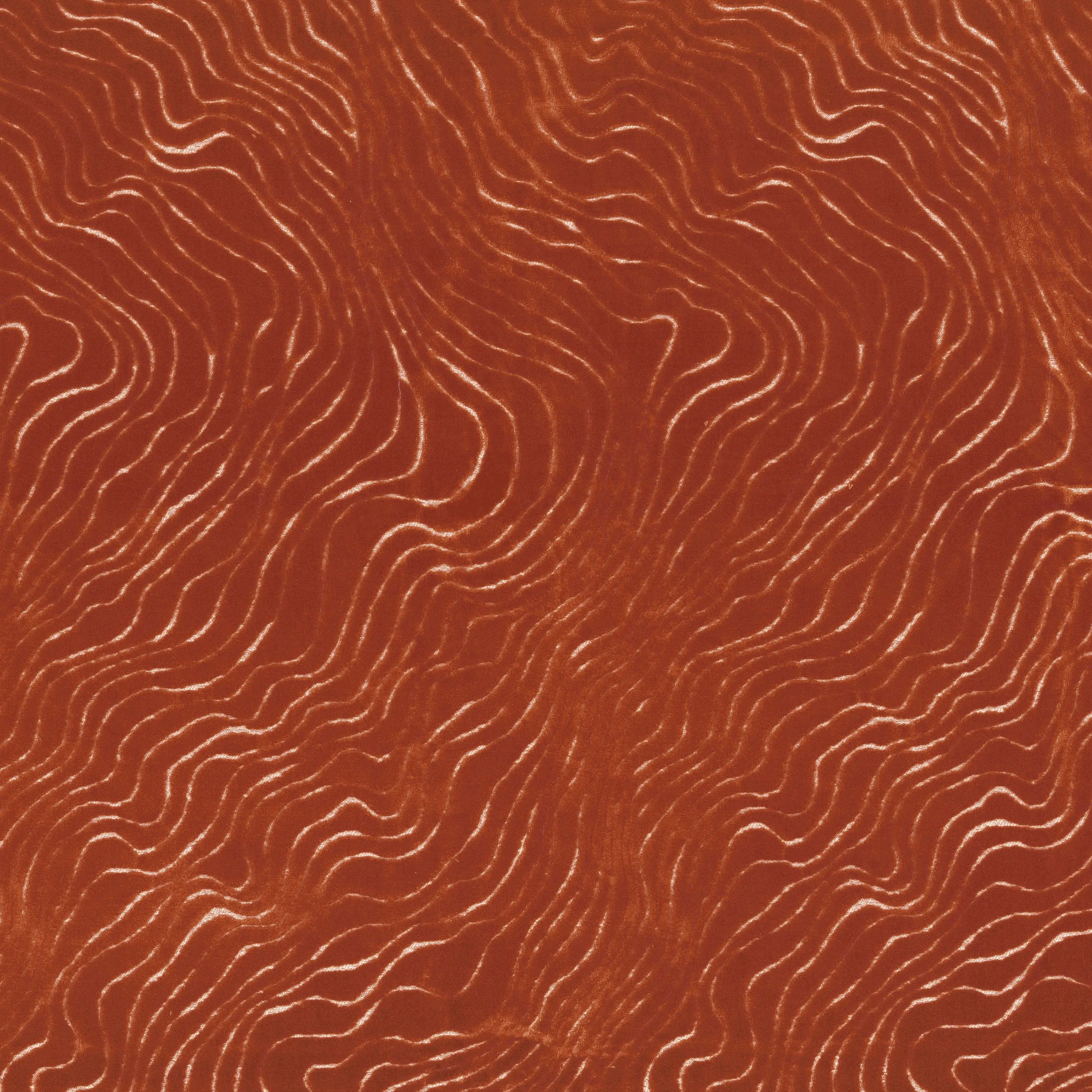 Casamance - PITI ORANGE BRULE