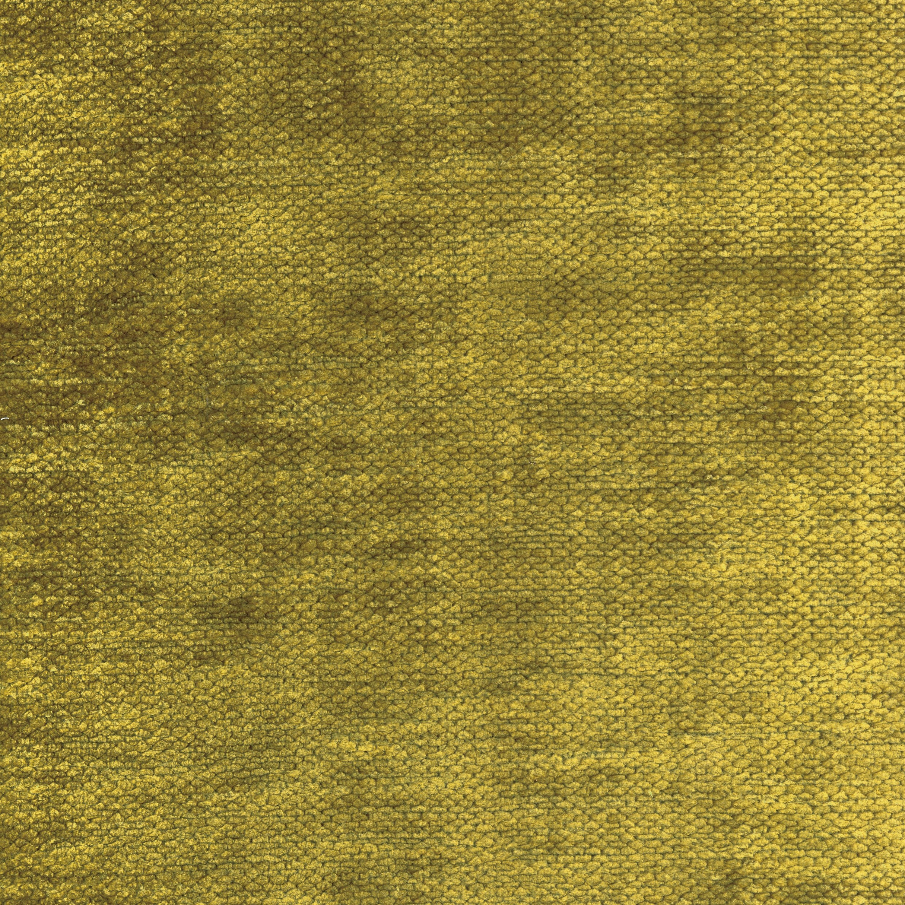 DEMOISELLE OLIVE
