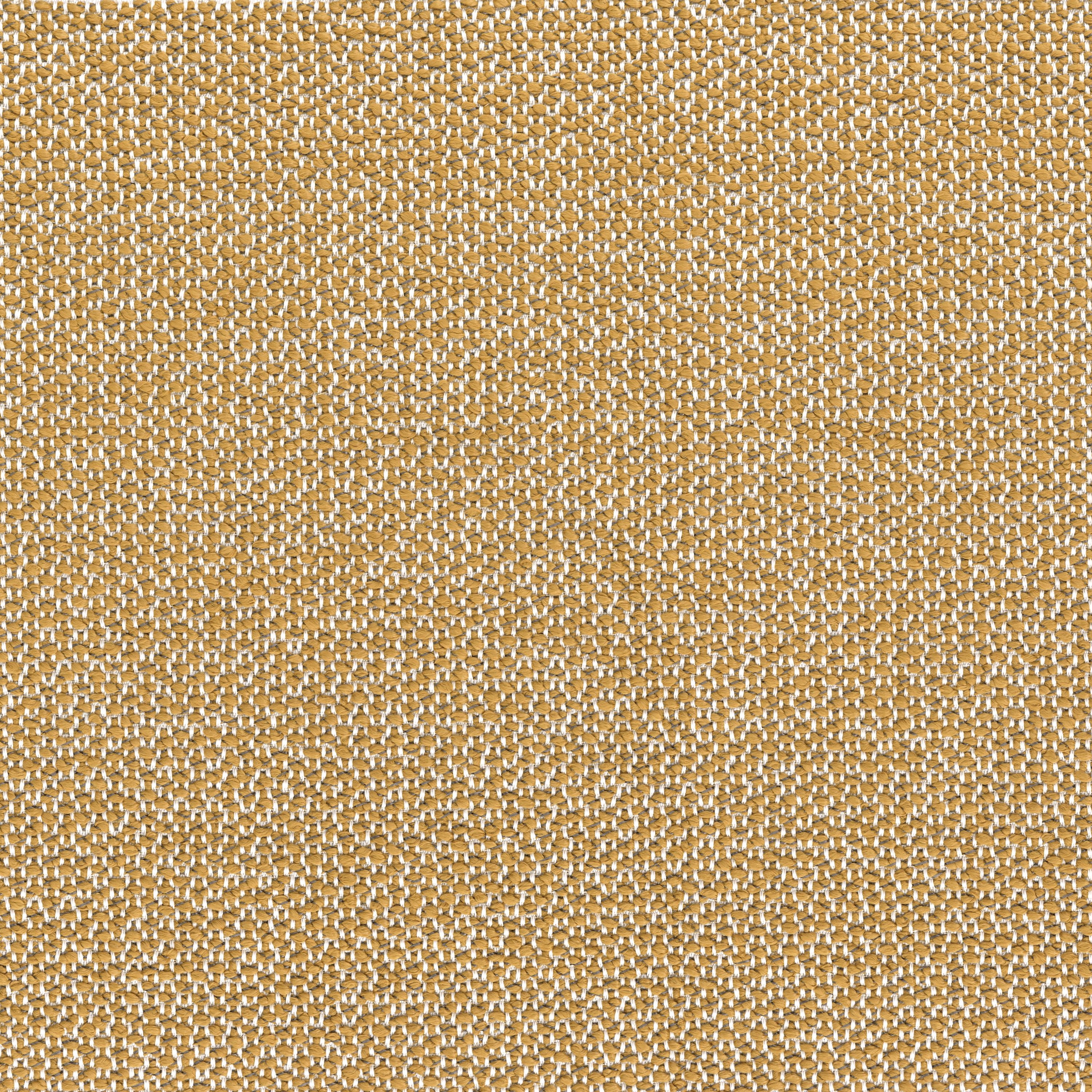ZIA OCRE