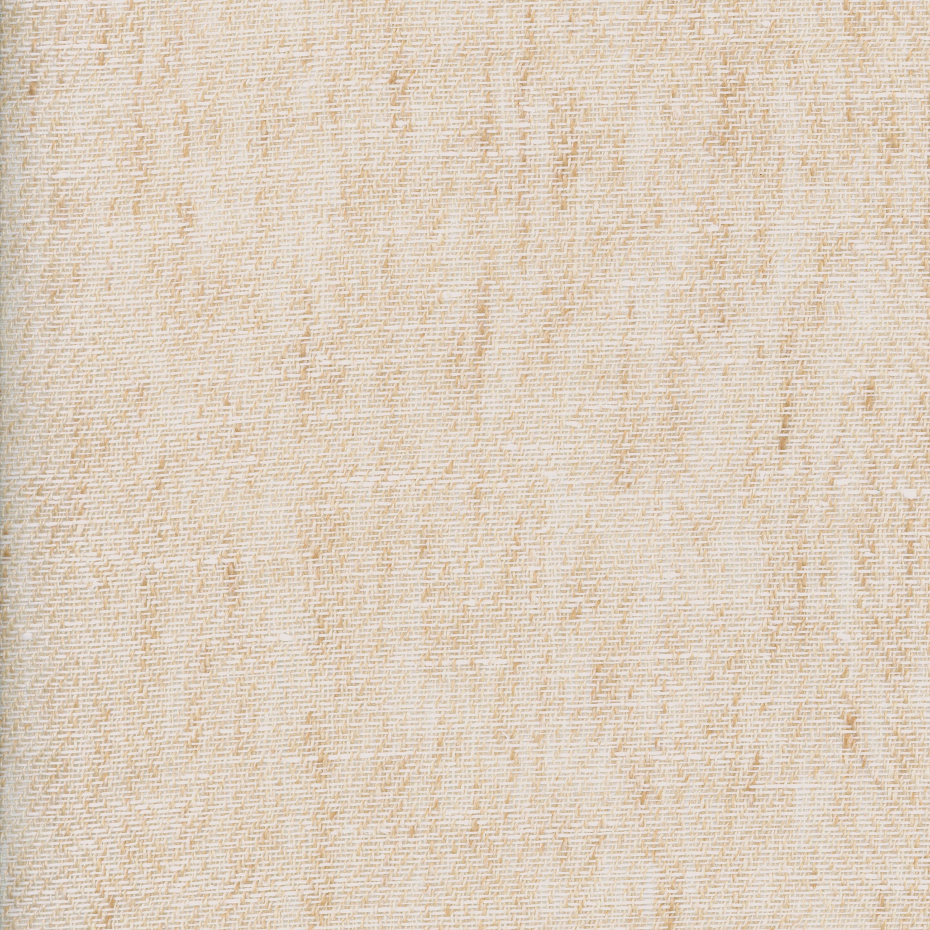 CAMPO NUDE