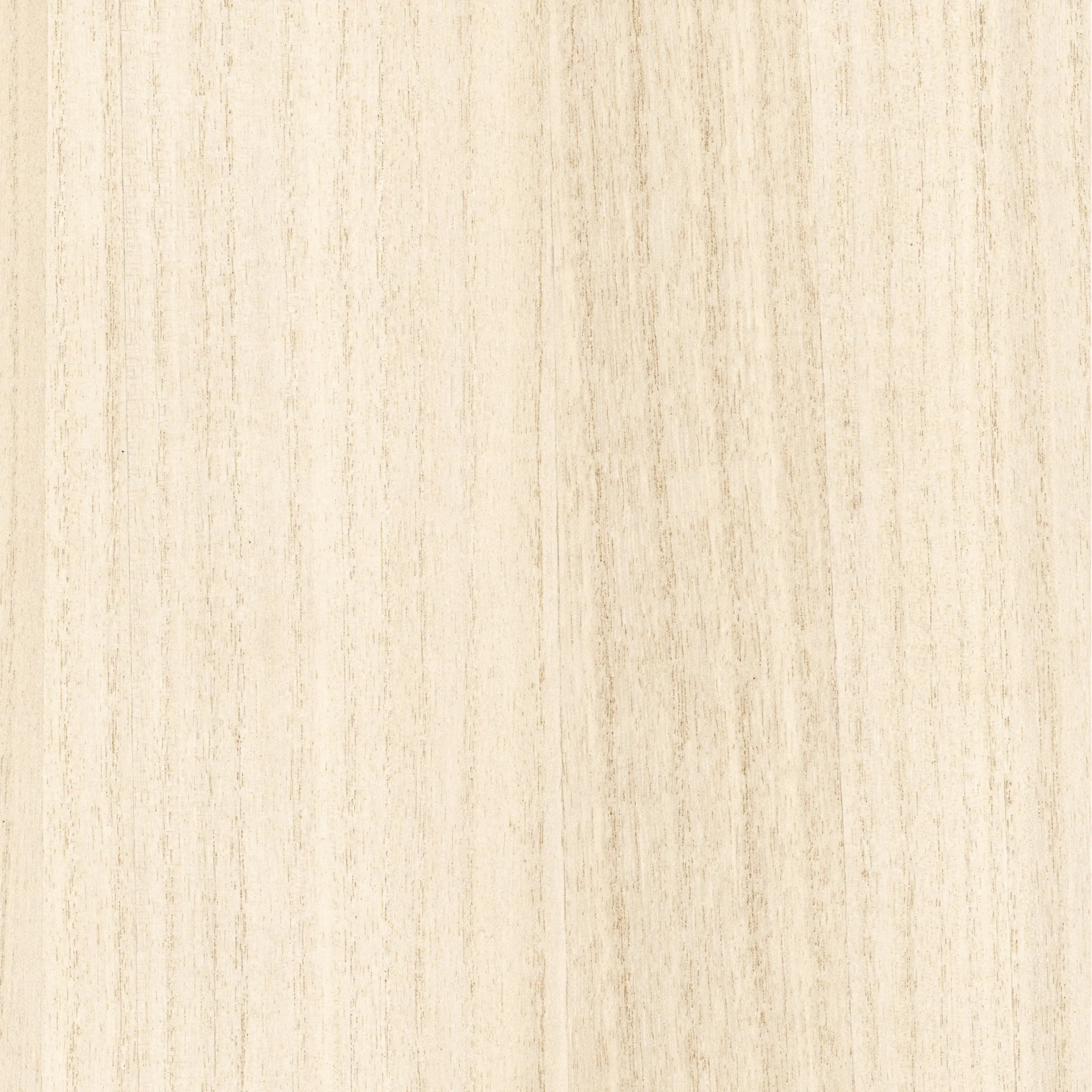 Casamance - EBONY IVOIRE