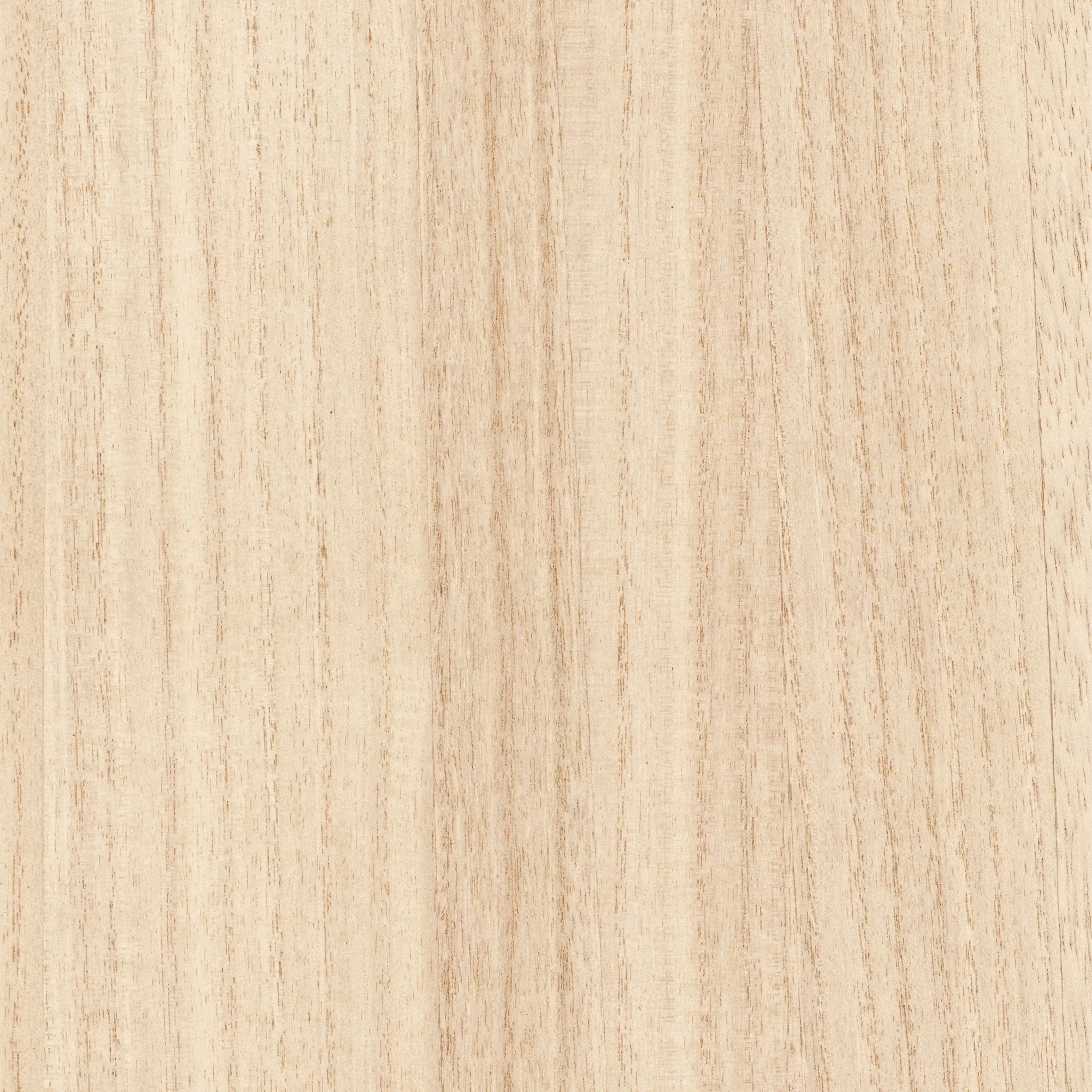 Casamance - EBONY SABLE