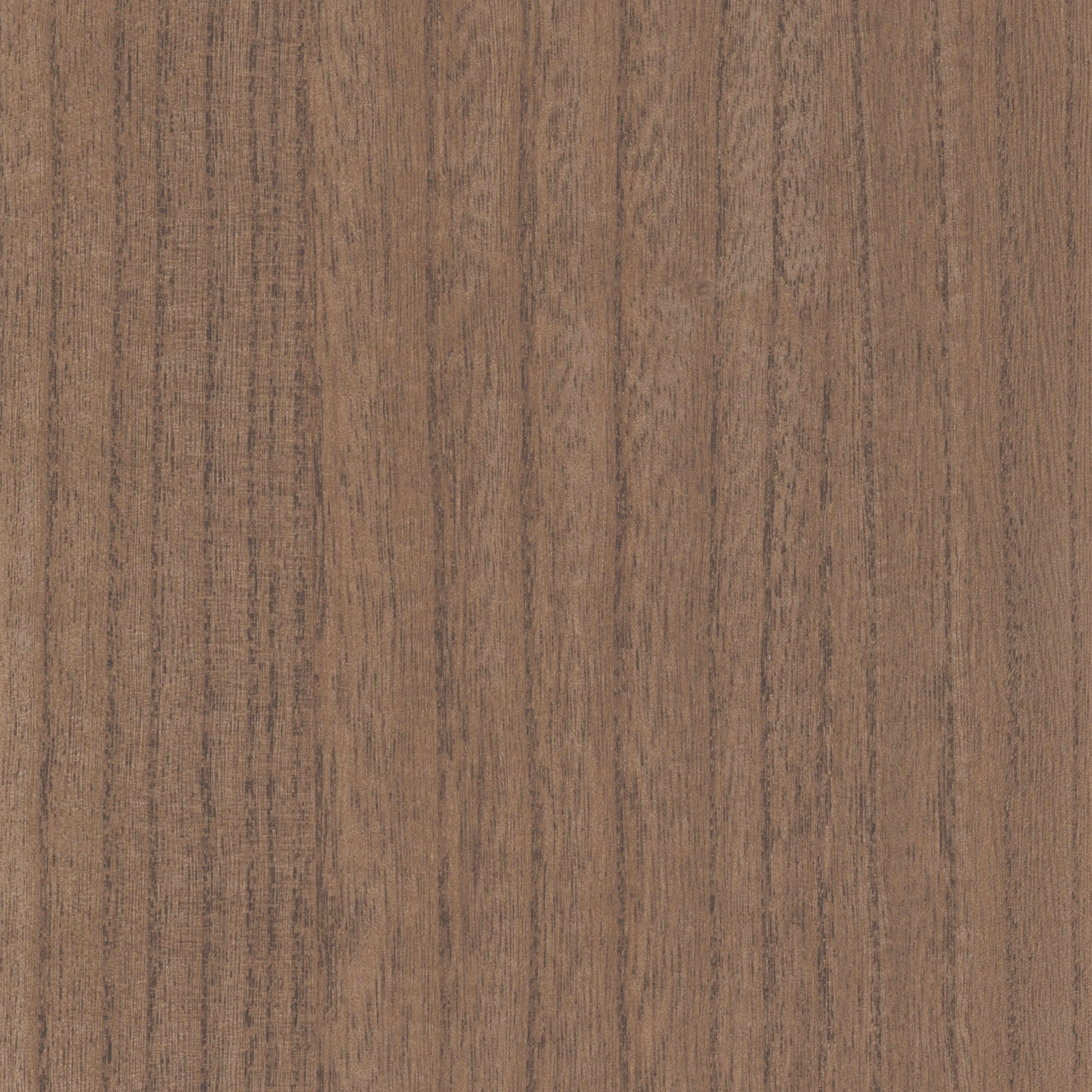 Casamance - EBONY ACAJOU