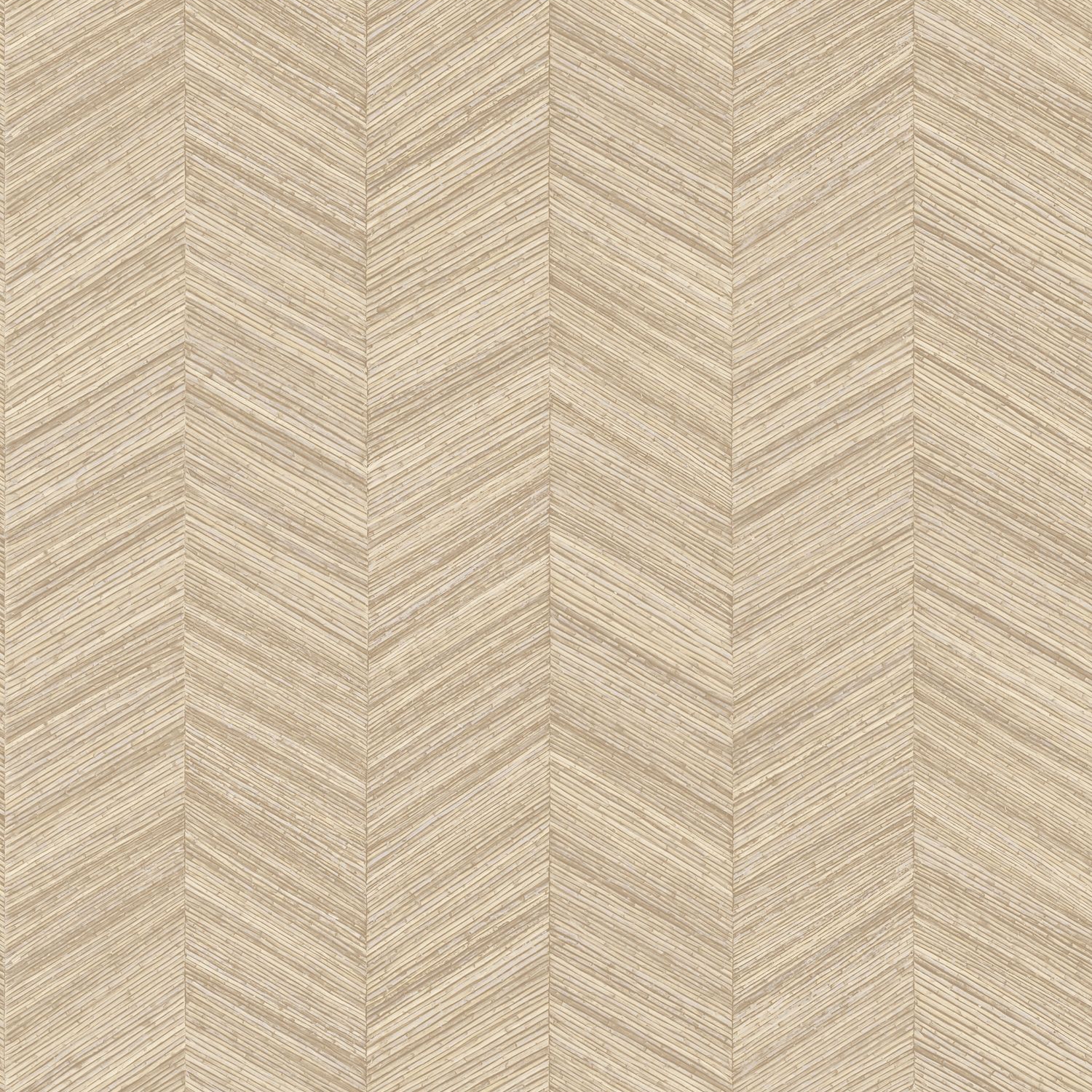 OCOTEA COQUILLE