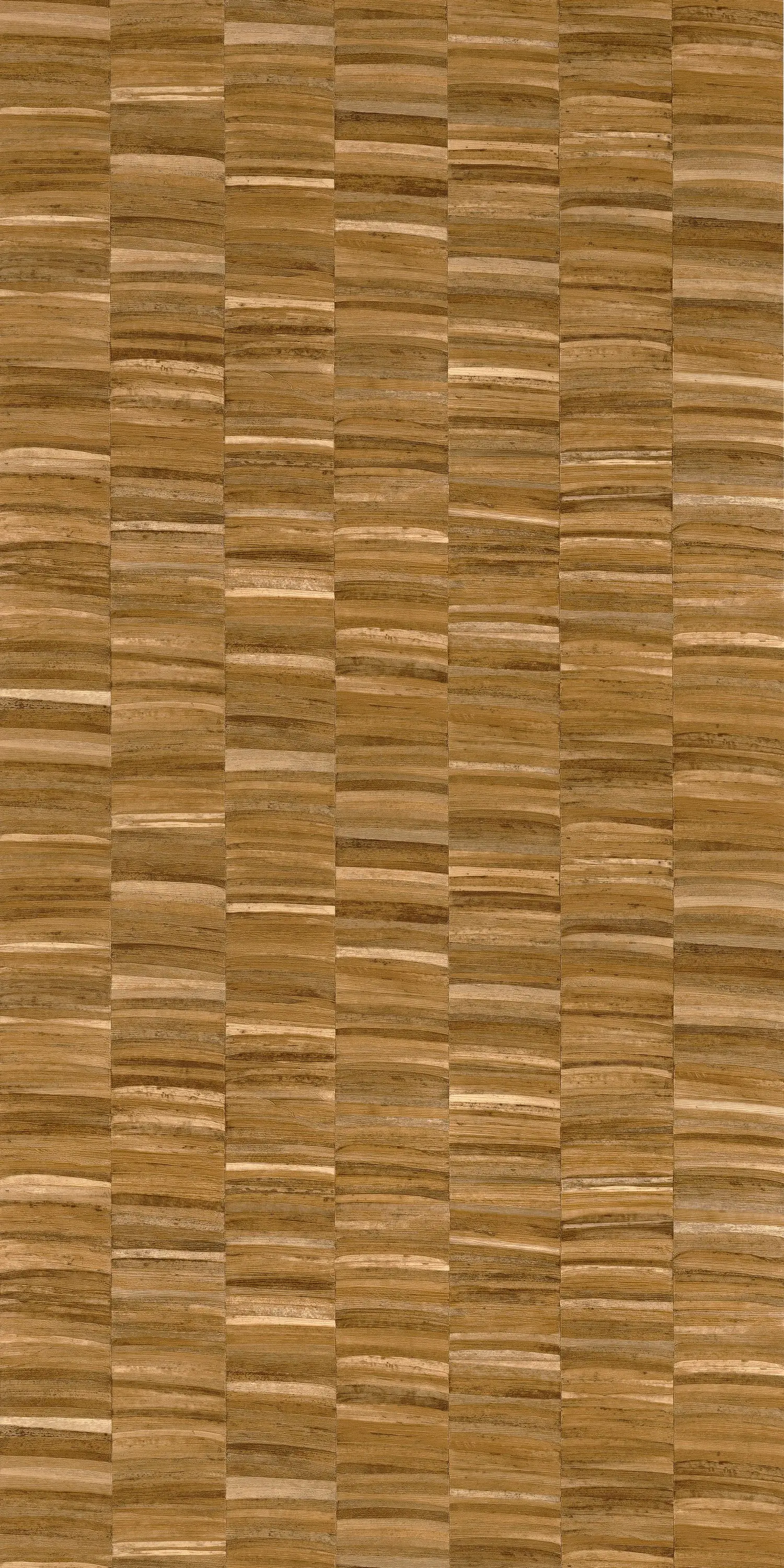 Casamance - STYLOSA OCRE