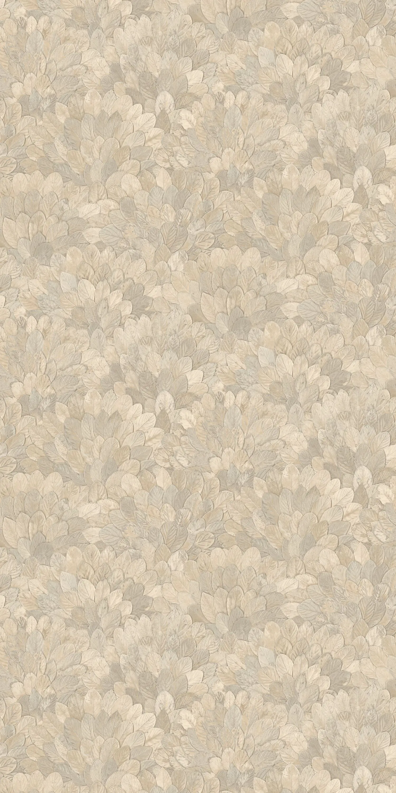 Casamance - FEIJOA GRÈGE