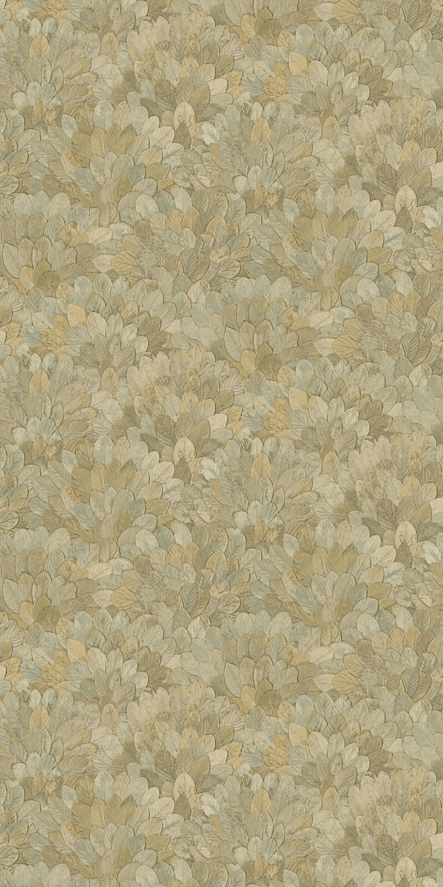 Casamance - FEIJOA AMANDE