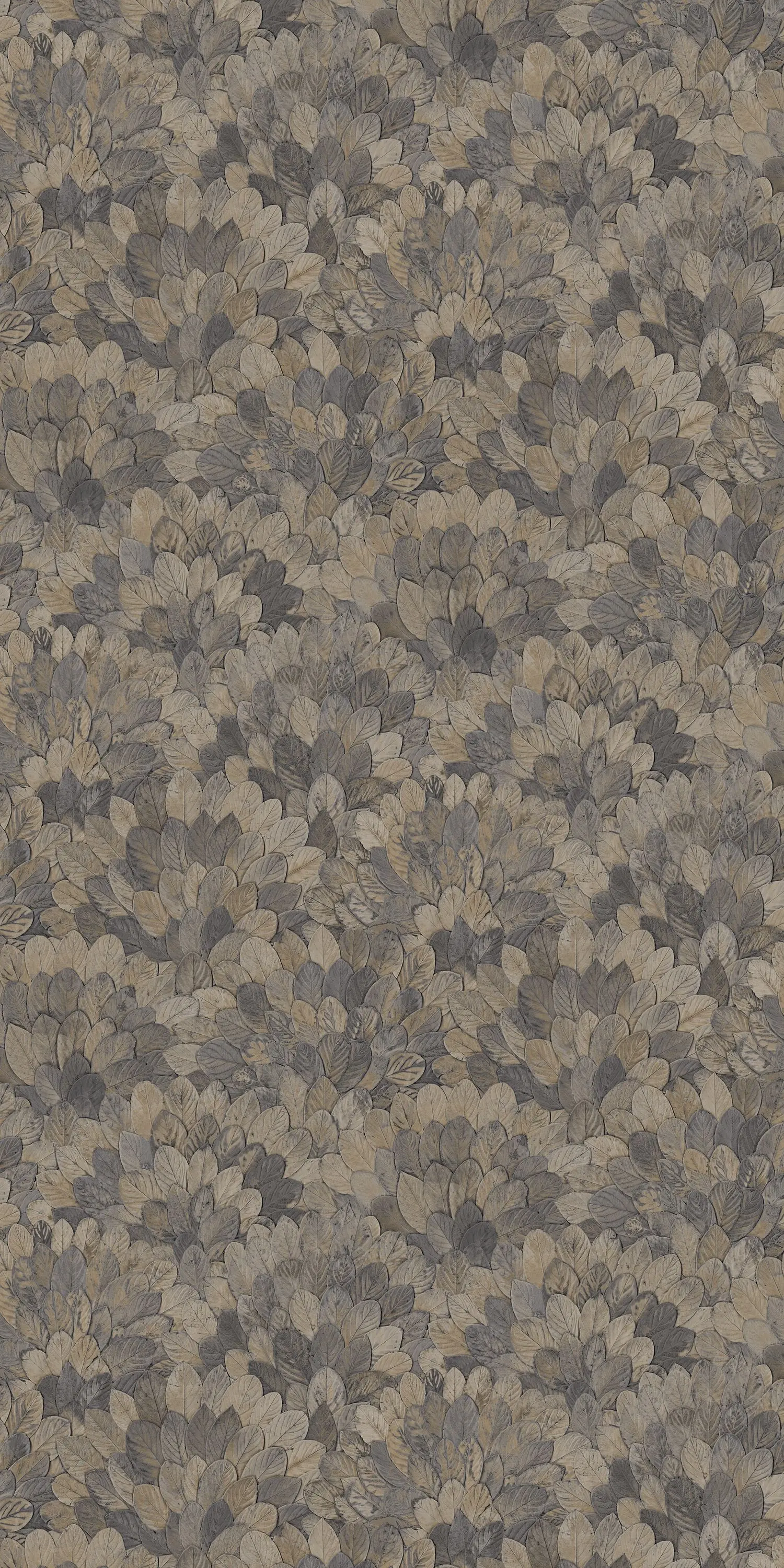 Casamance - FEIJOA ORAGE