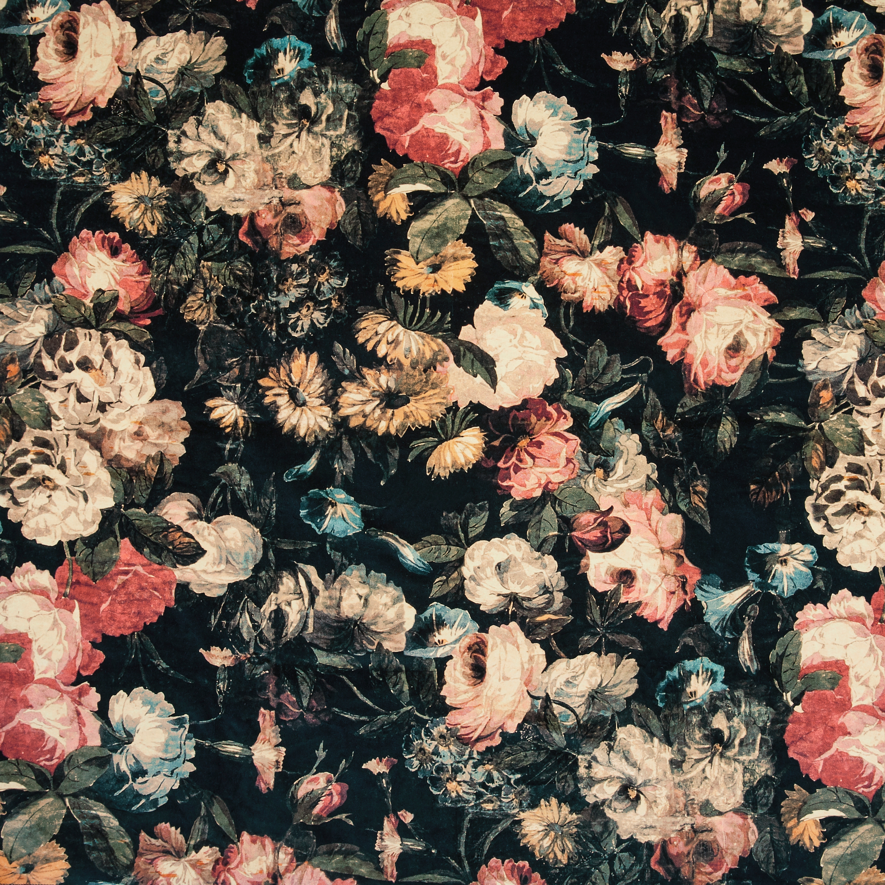 Produkt MIDNIGHT GARDEN Velvet - Multi des Herstellers House of Hackney anzeigen