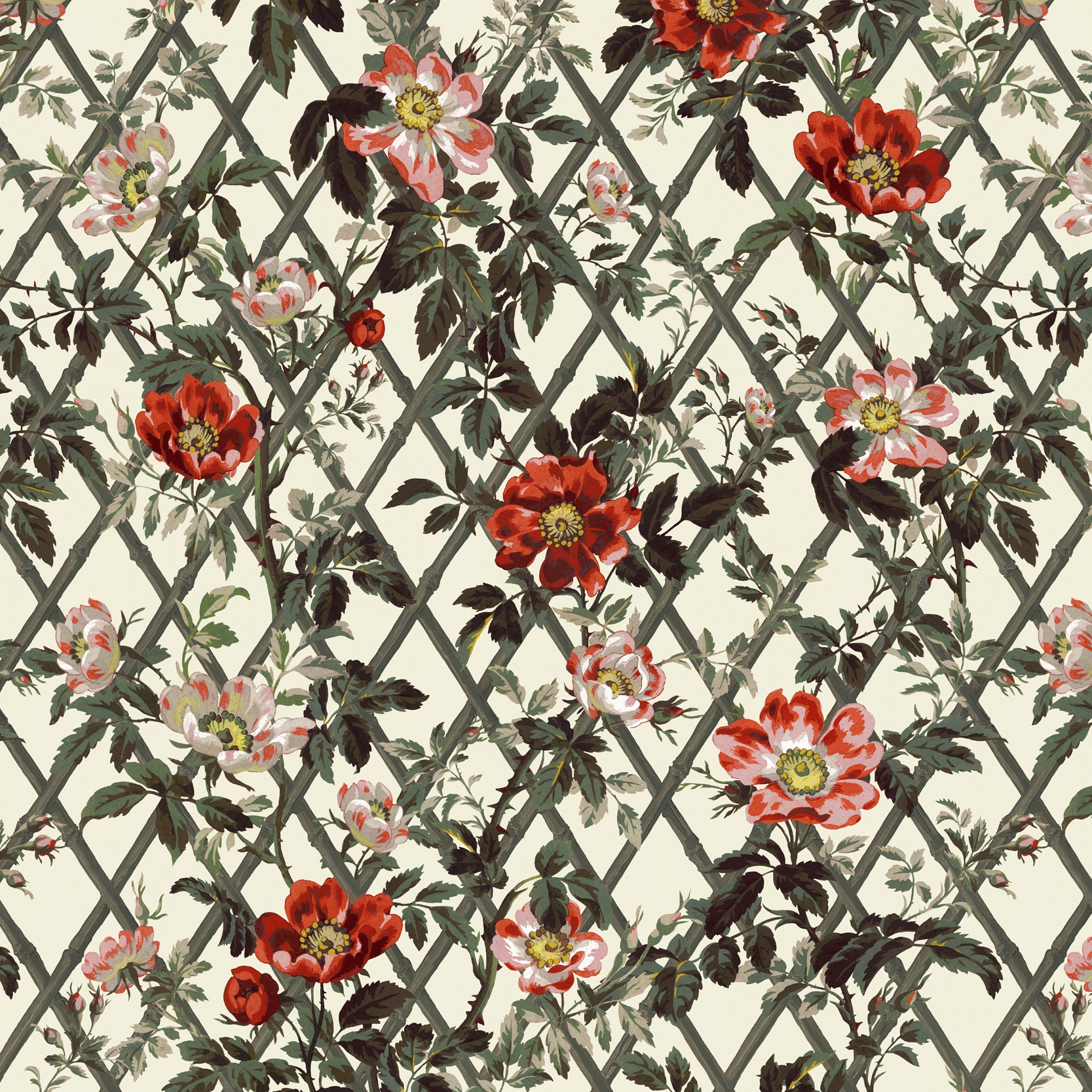 BRYHER ROSE Wallpaper - Cinnabar