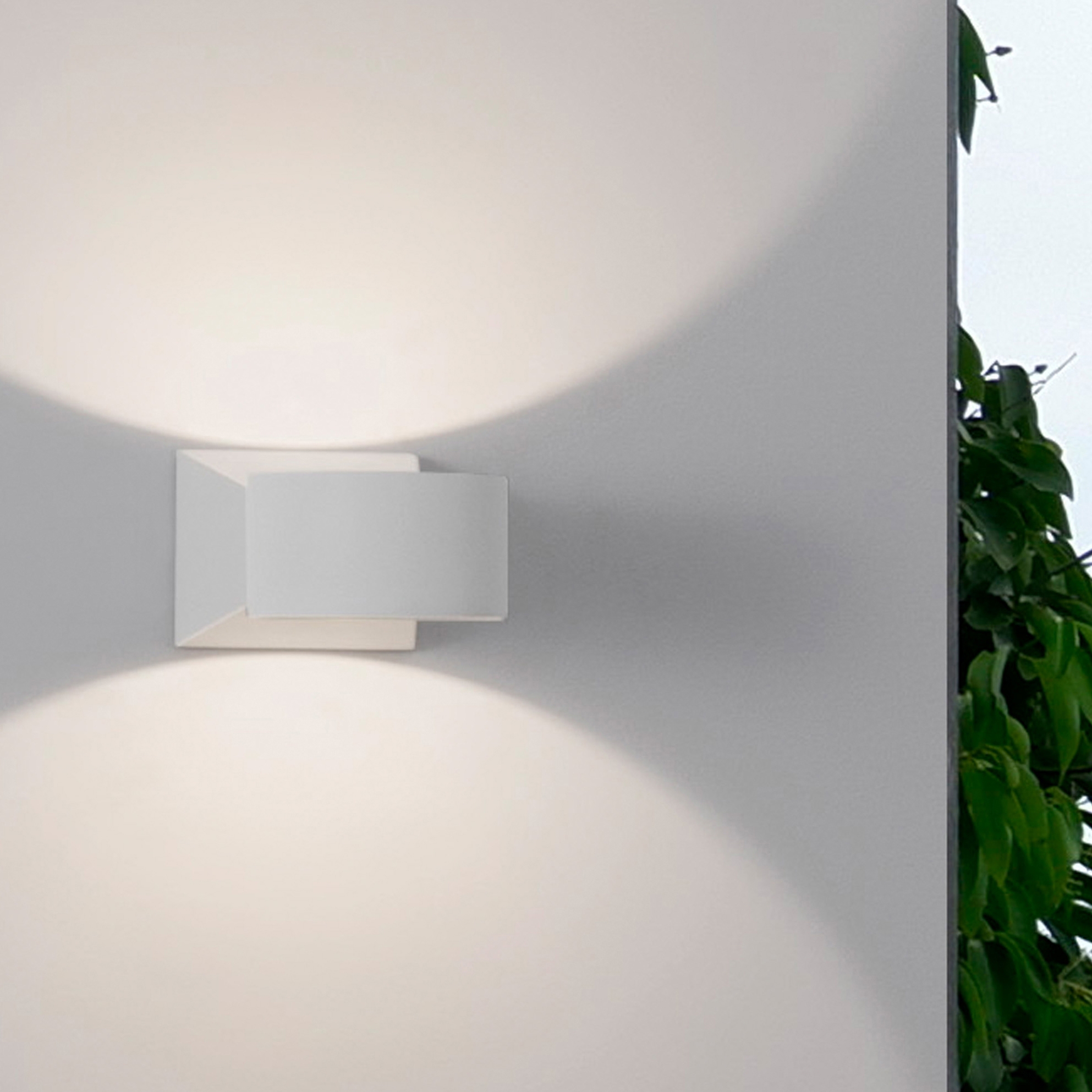 WALL