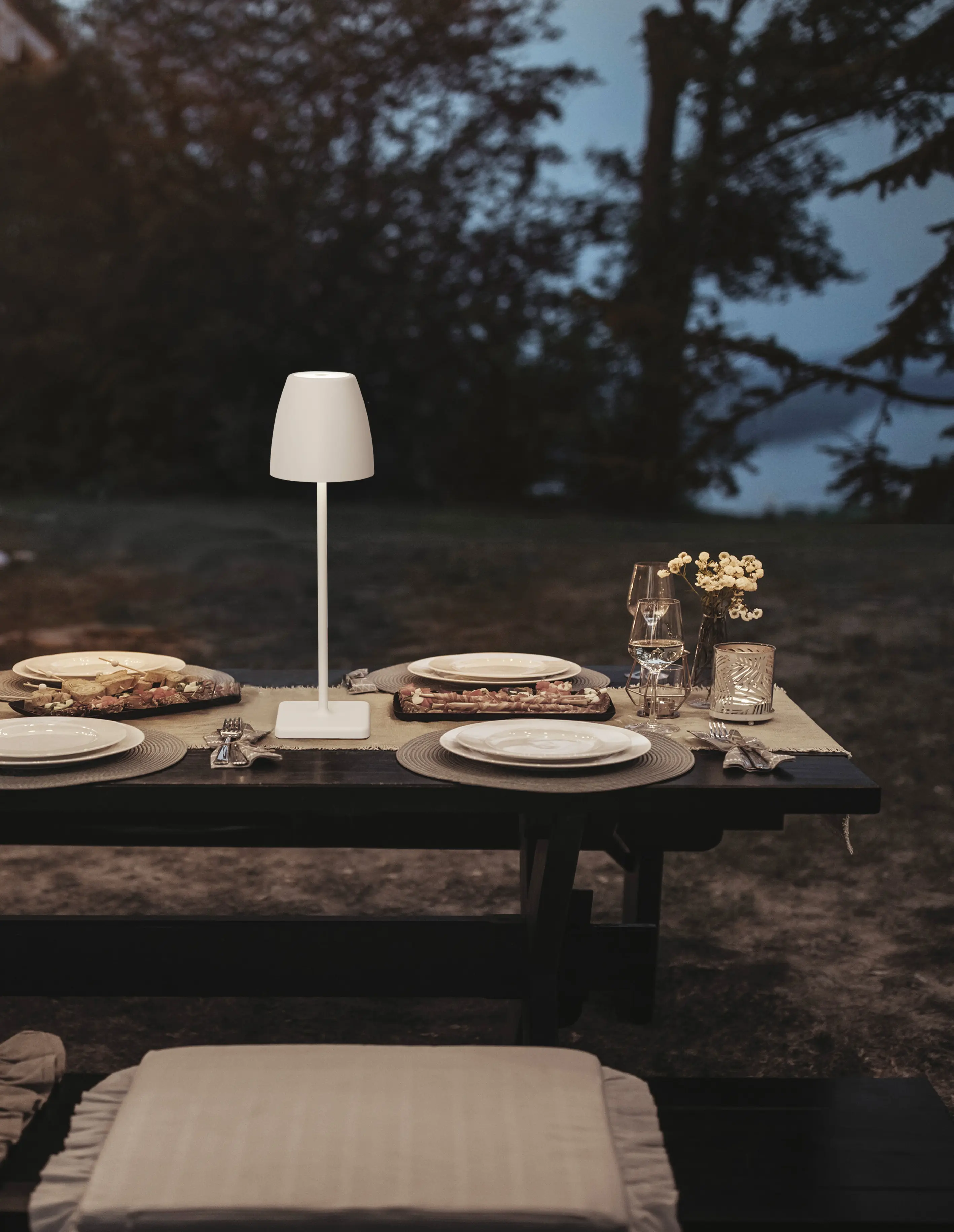 NOVA LUCE - COLT Decorative Portable Table Lamp