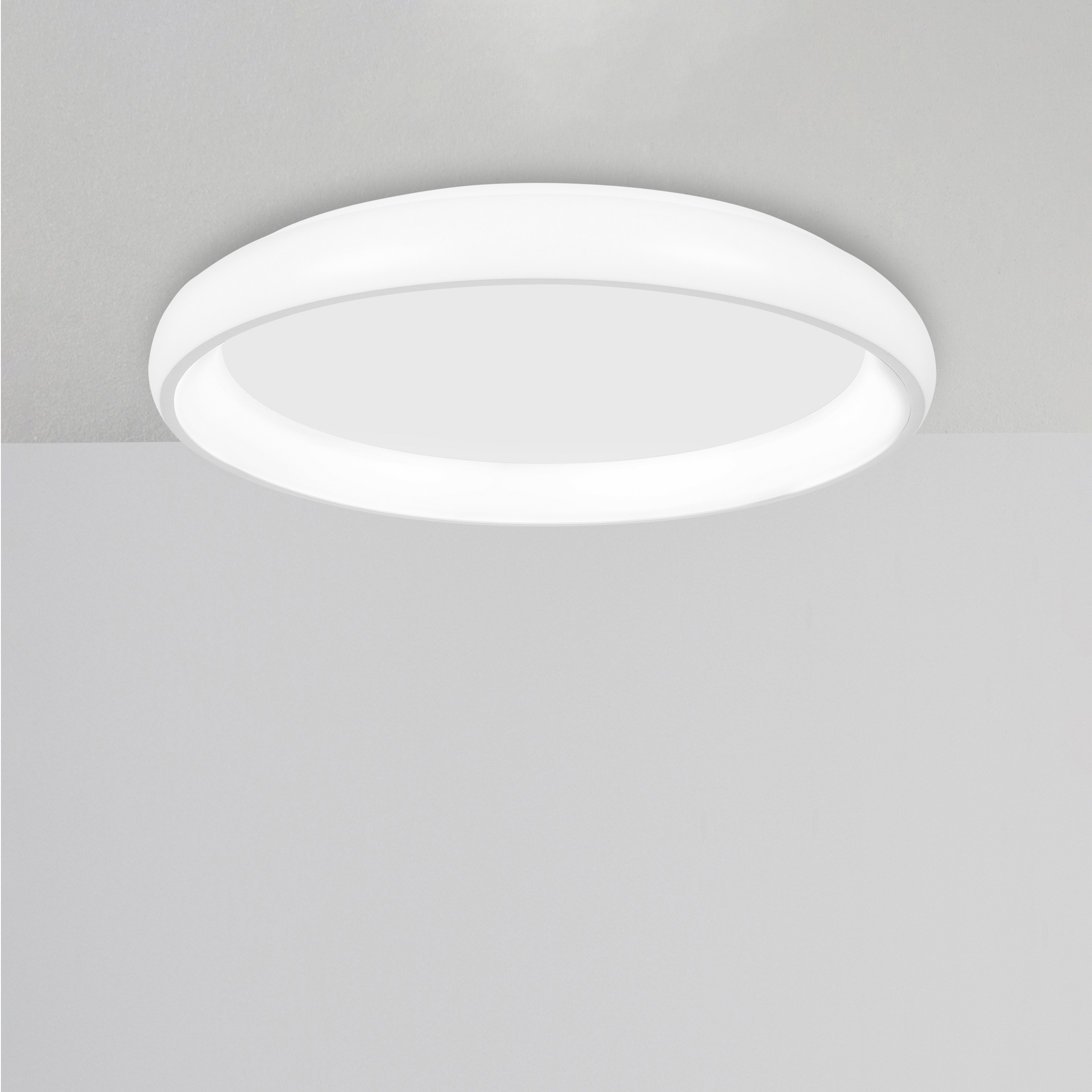 ALBI Decorative Ceiling Lamp