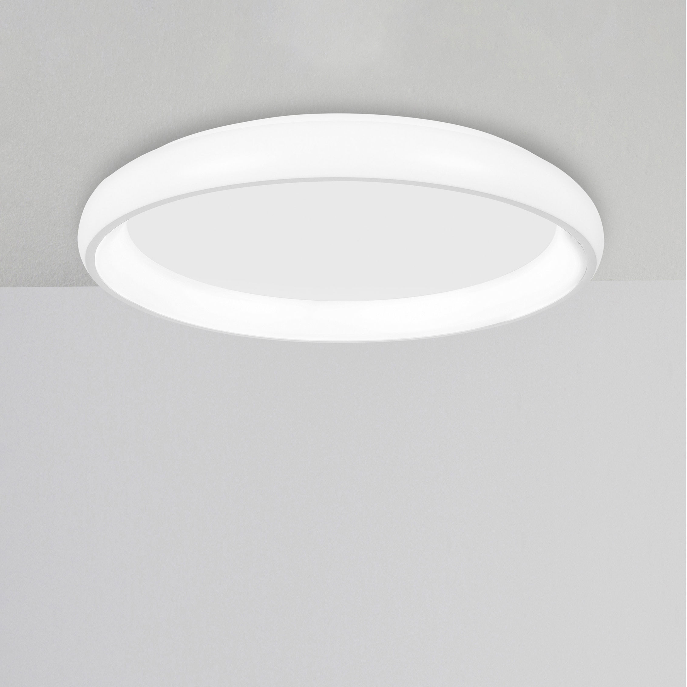 ALBI Decorative Ceiling Lamp