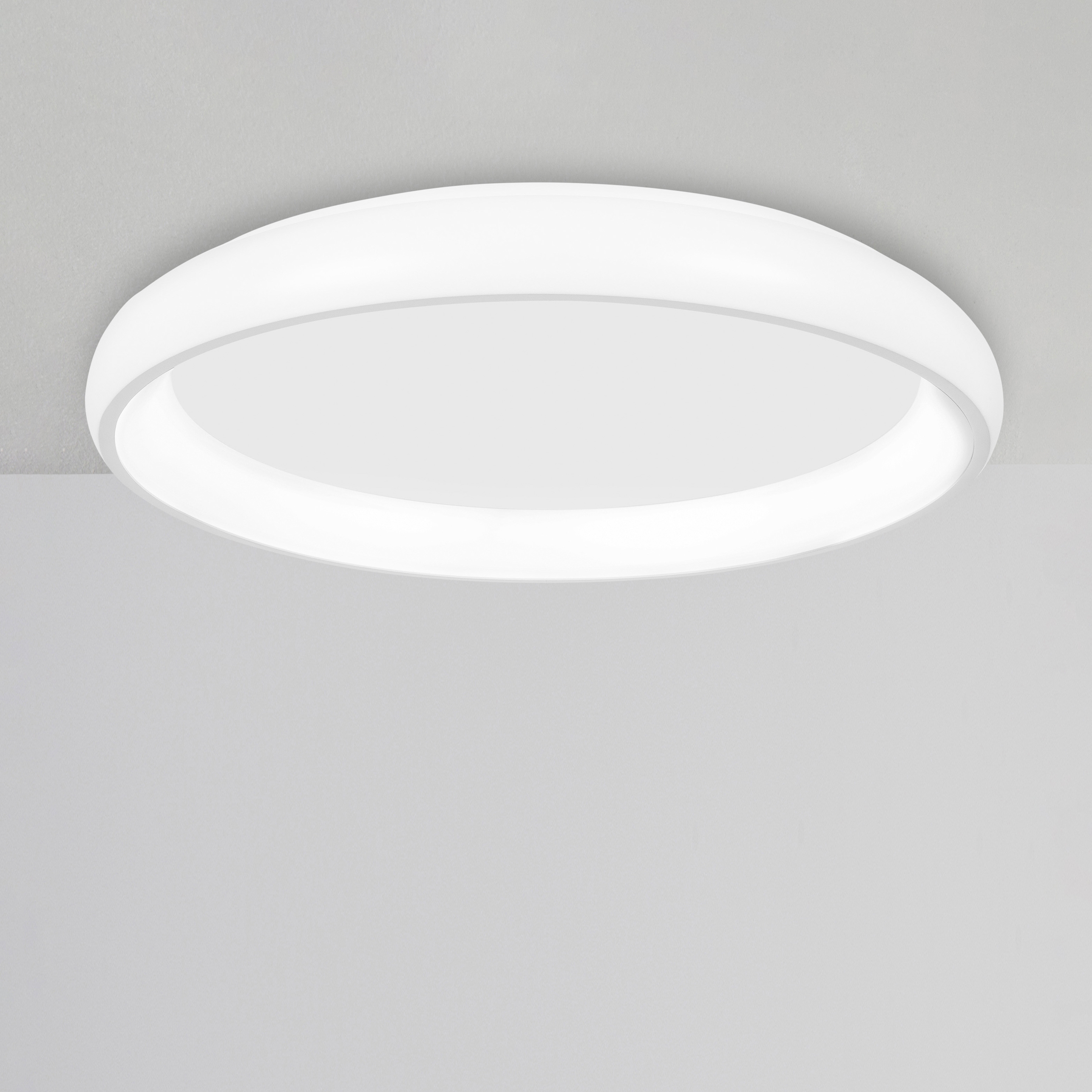 Display product ALBI Decorative Ceiling Lamp from manufacturer NOVA LUCE