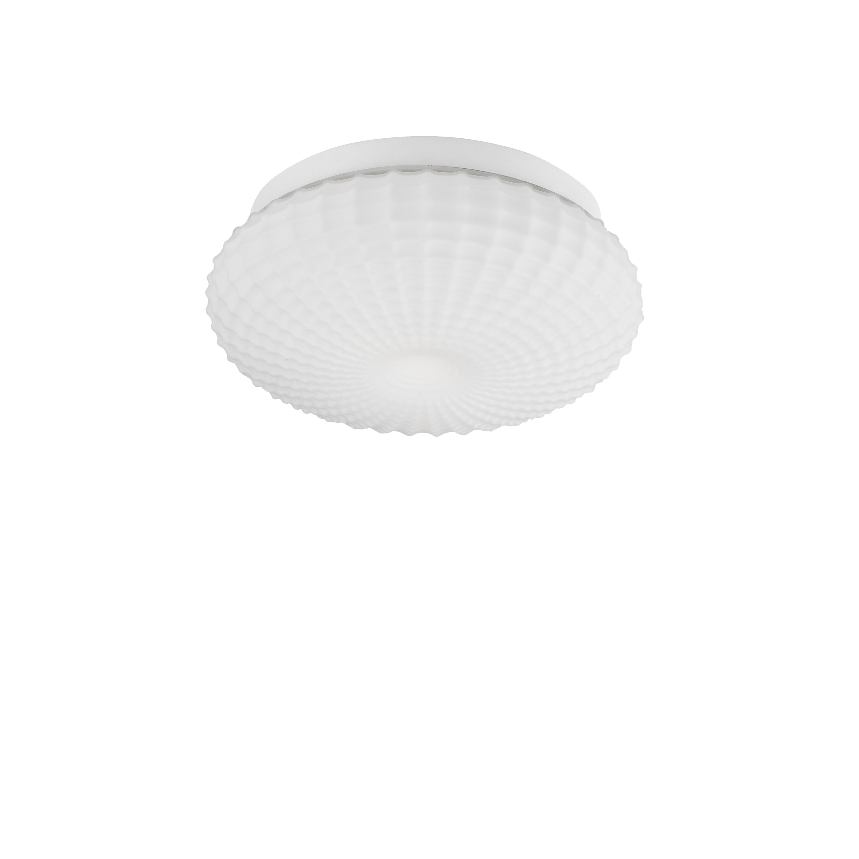 CLAM Decorative Ceiling Lamp