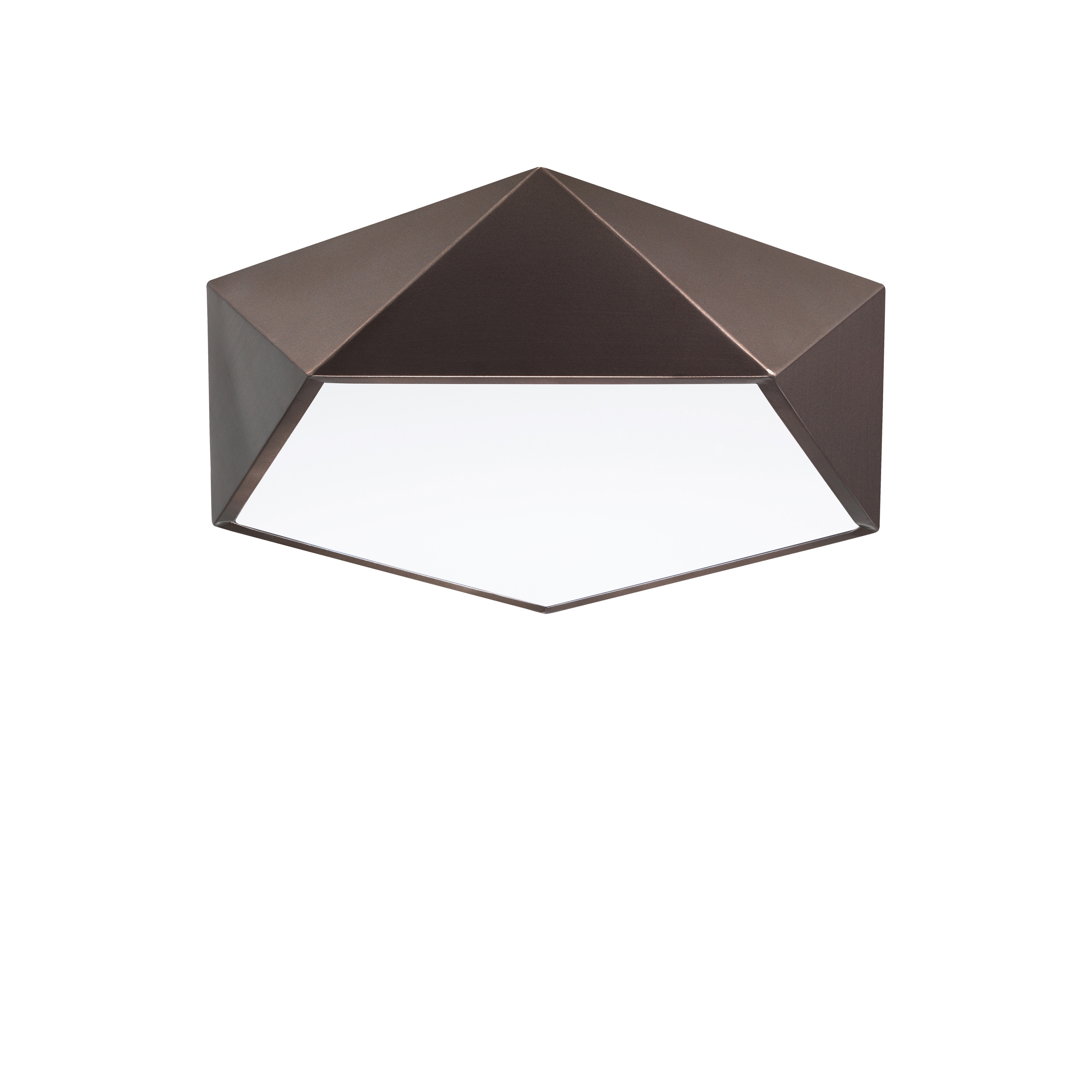 DARIUS Decorative Ceiling Lamp