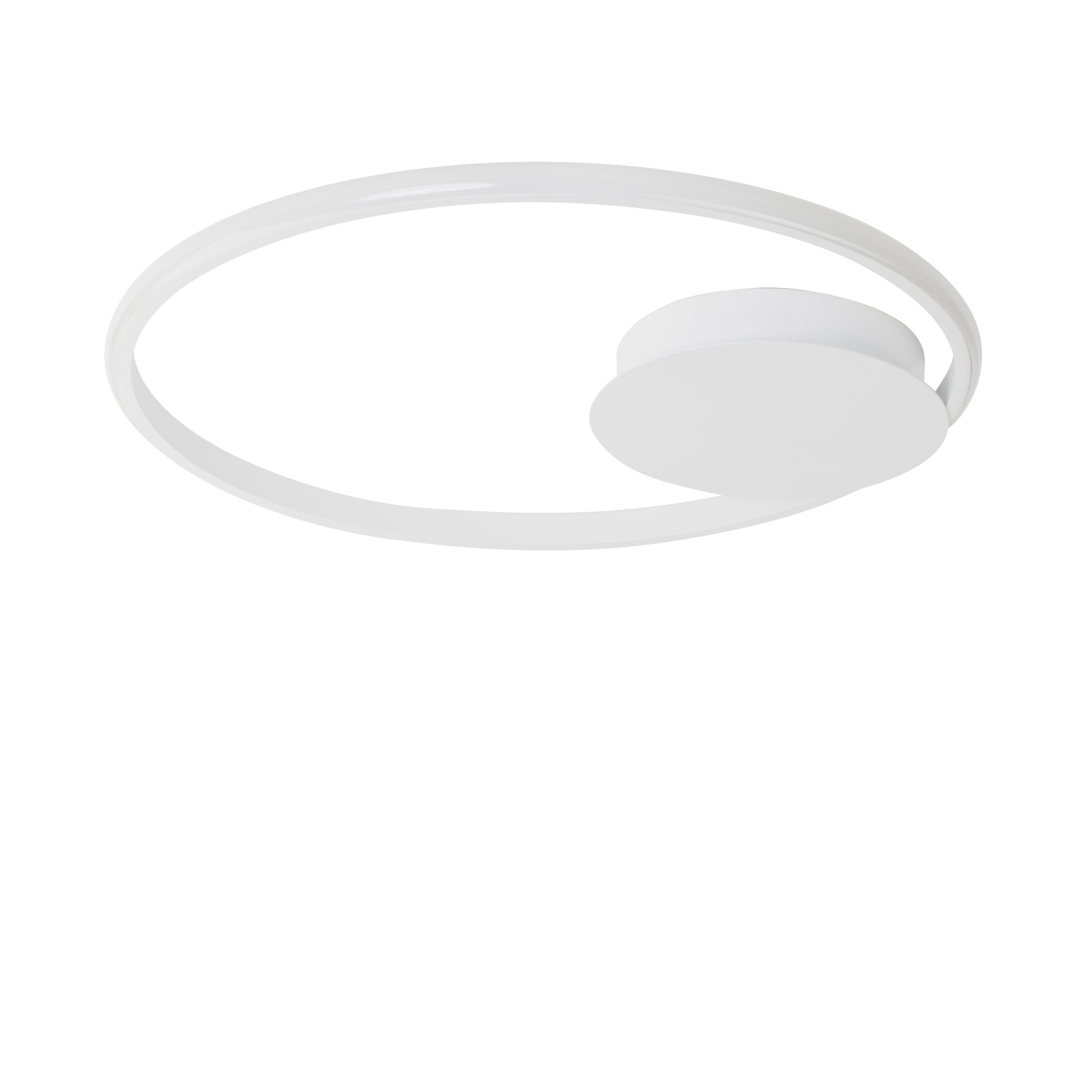 FULINE Decorative Ceiling Lamp