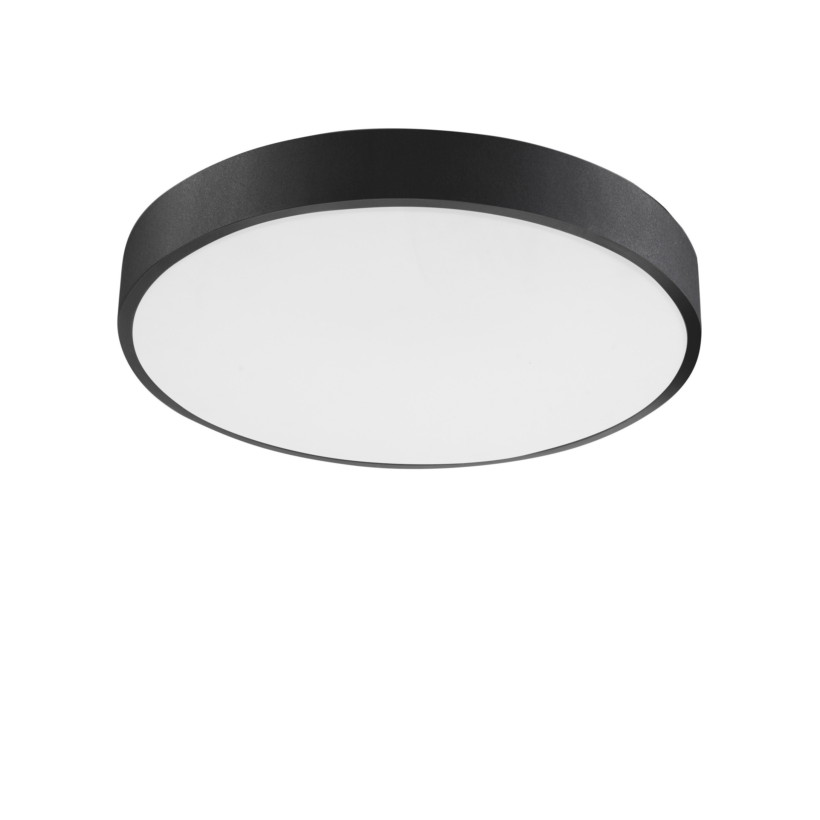 HADON Decorative Ceiling Lamp