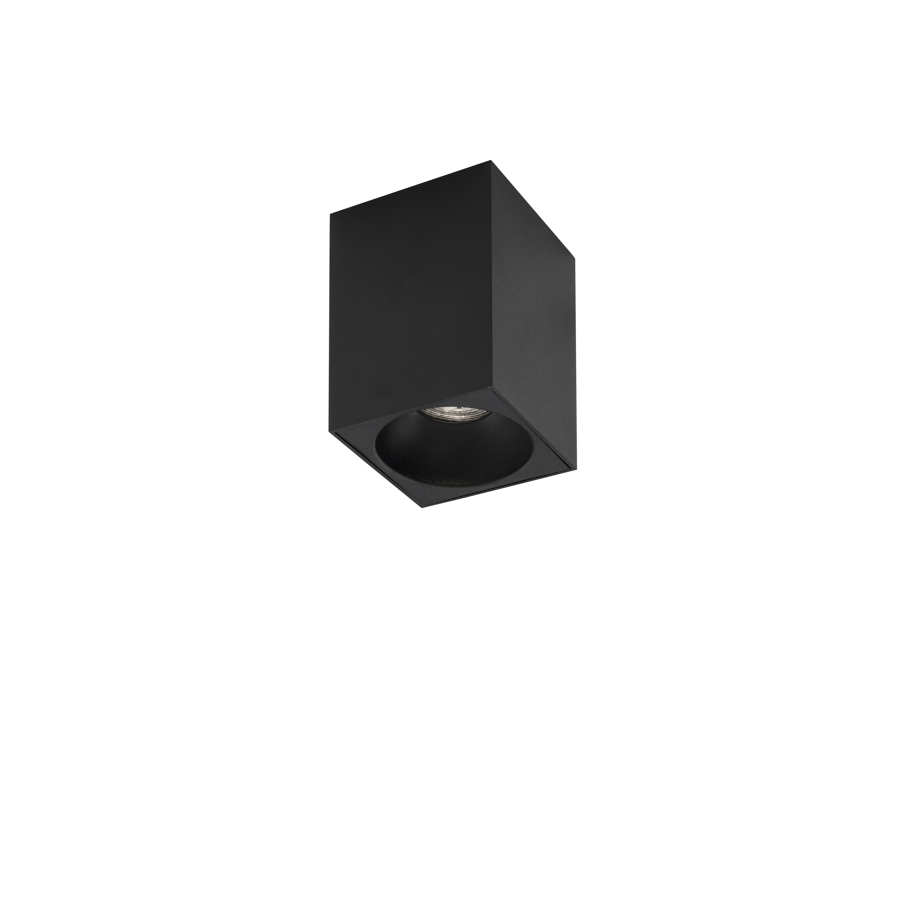 NIDO Decorative Mounted Spot