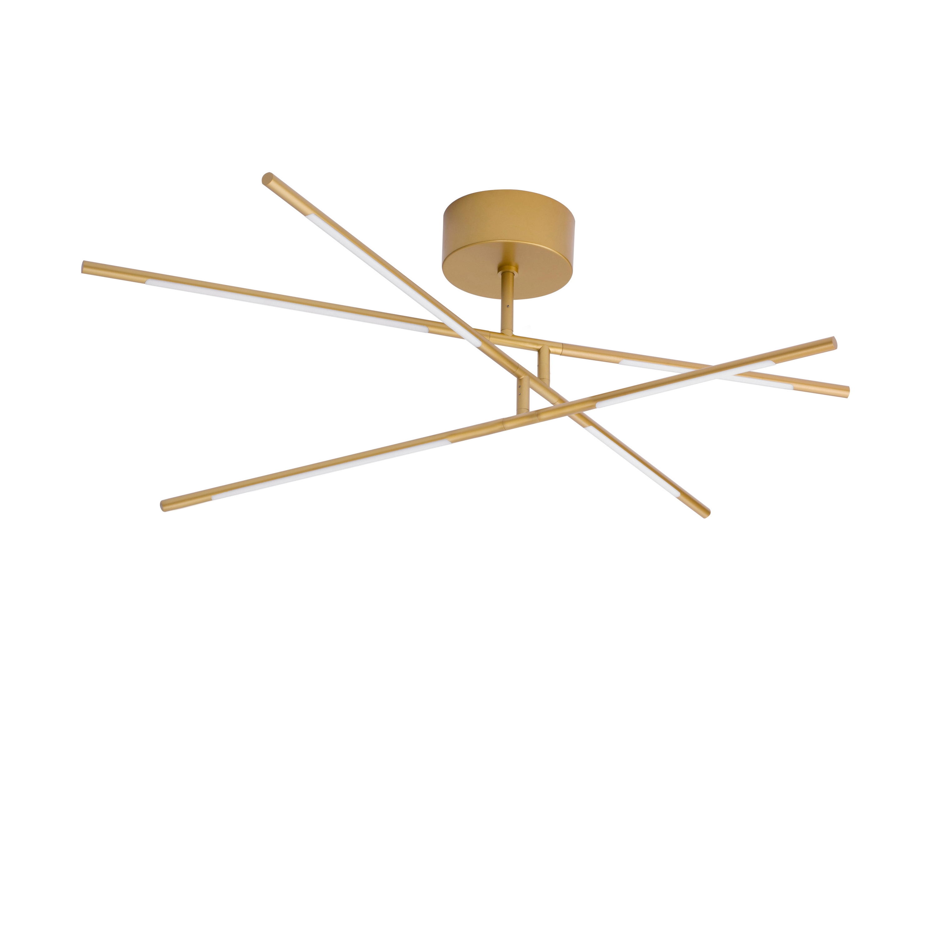 Mostrar el producto RACCIO Decorative Small Size Ceiling Lamp del fabricante NOVA LUCE