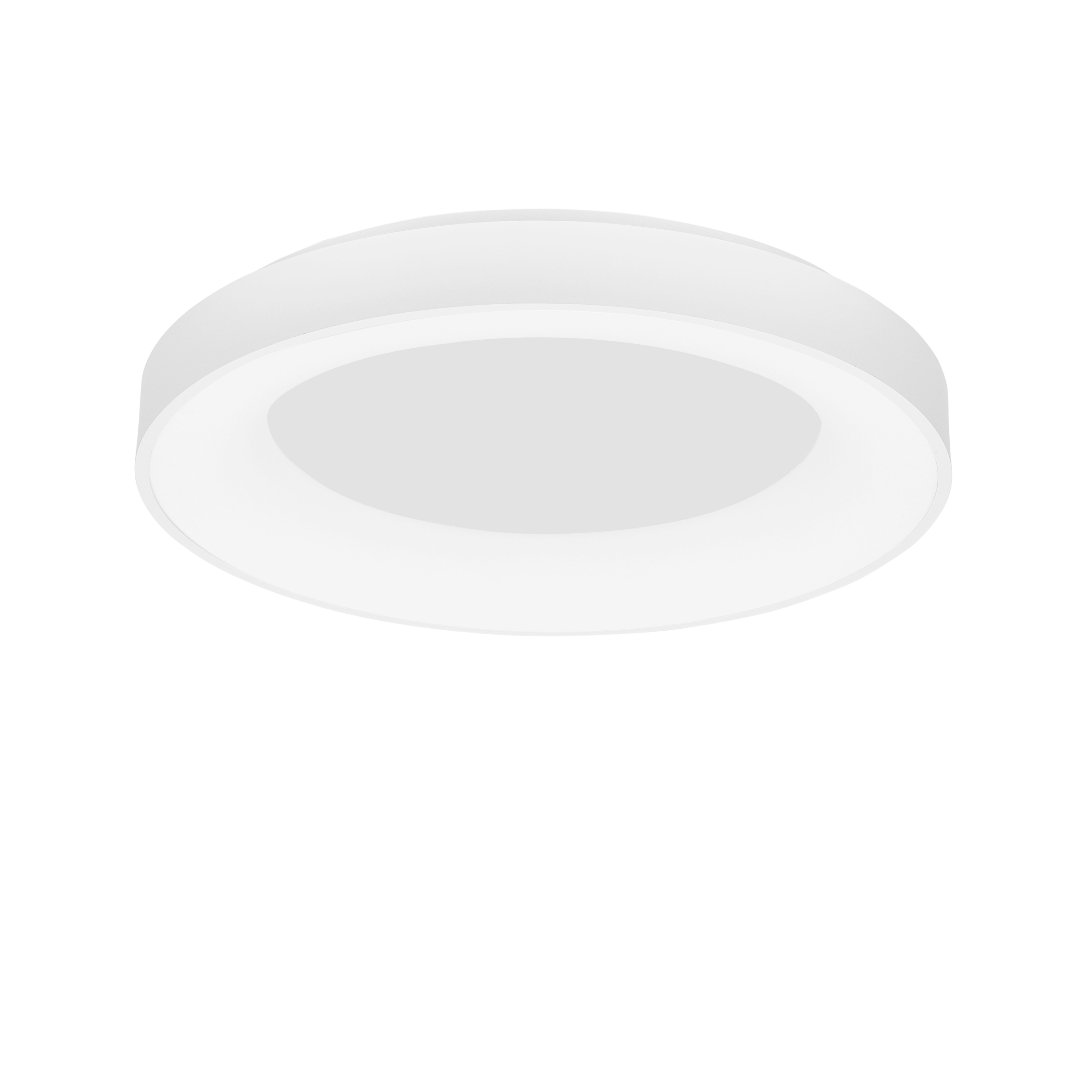 RANDO SMART Decorative Ceiling Lamp