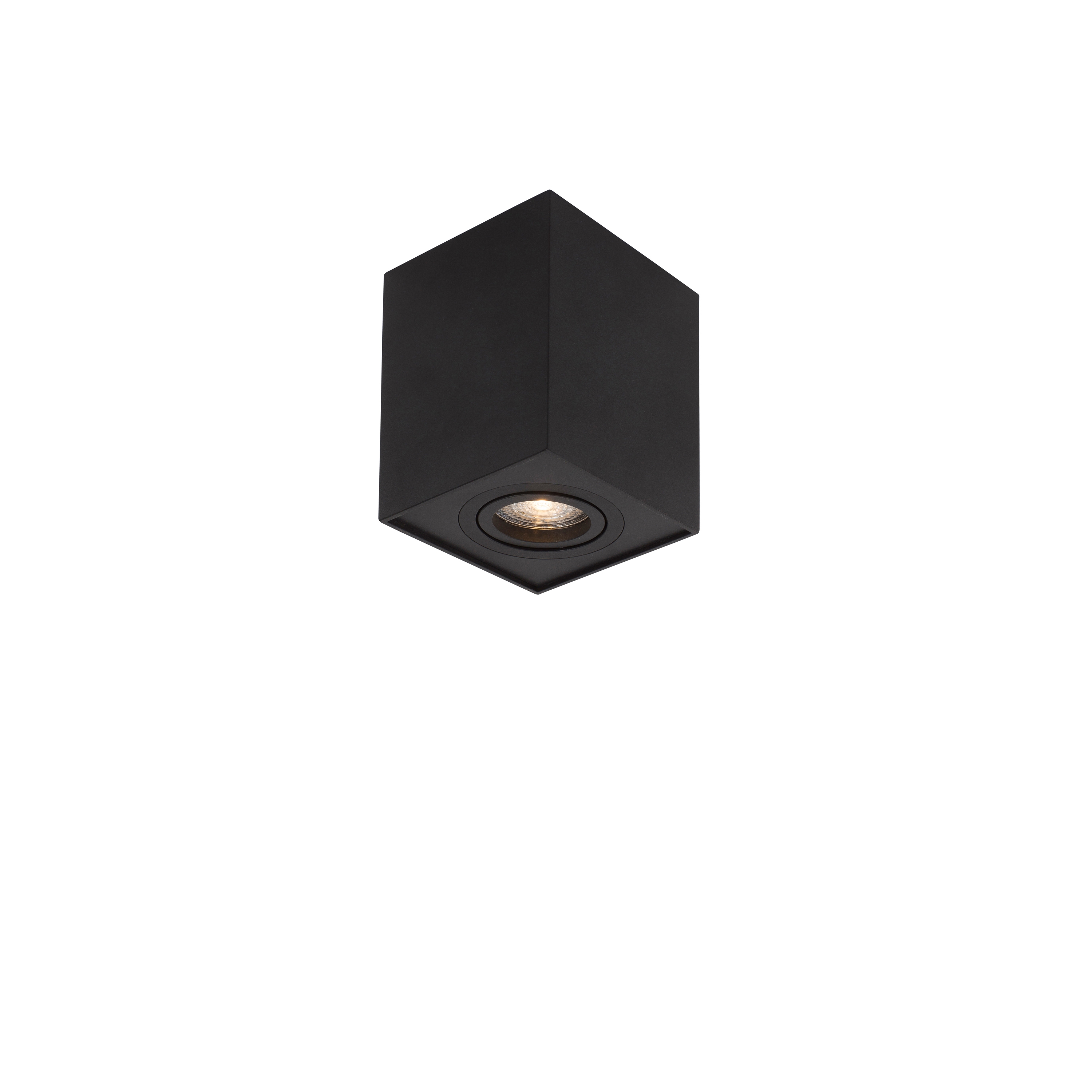 RENDE Decorative Mounted Spot