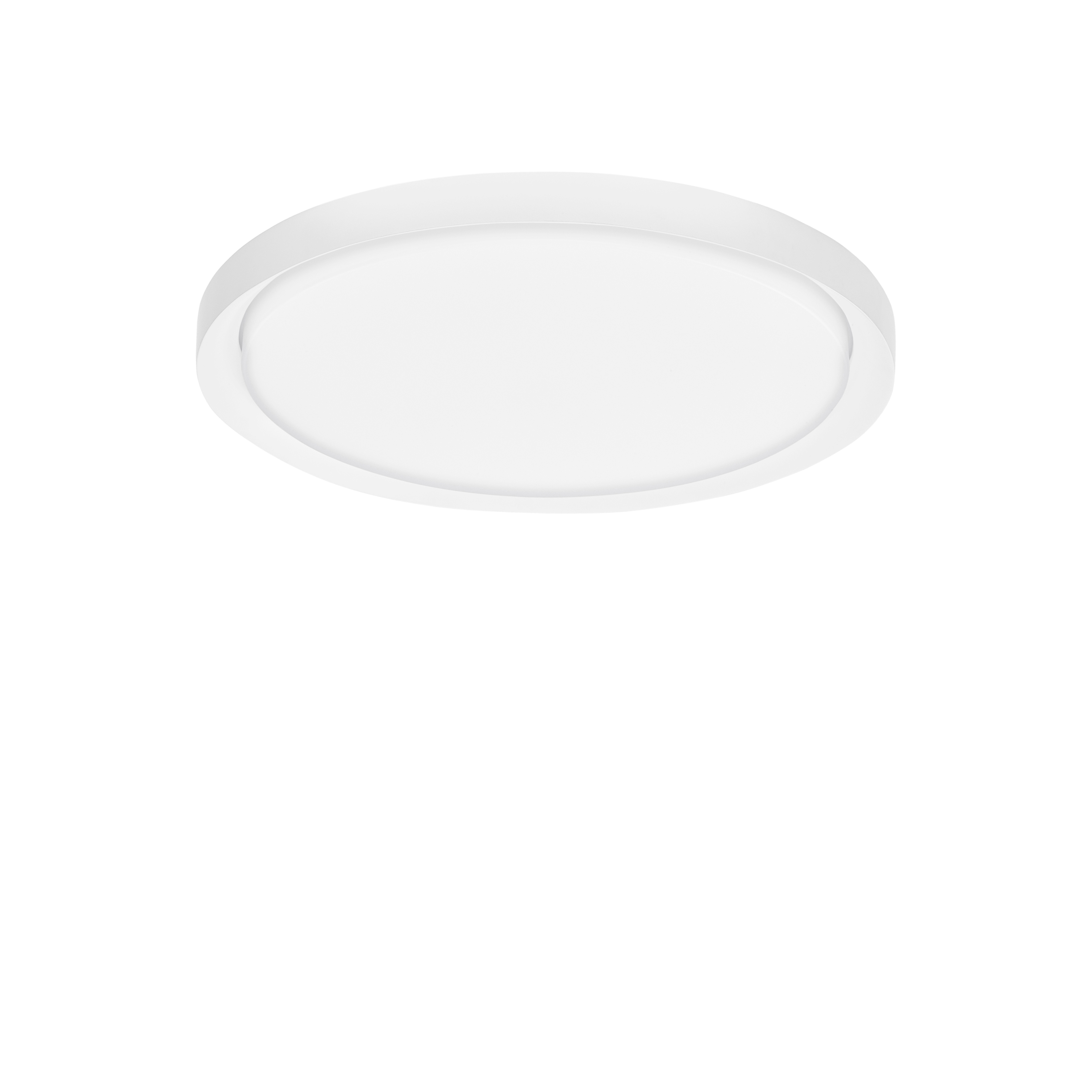 TROY Decorative Ceiling Lamp