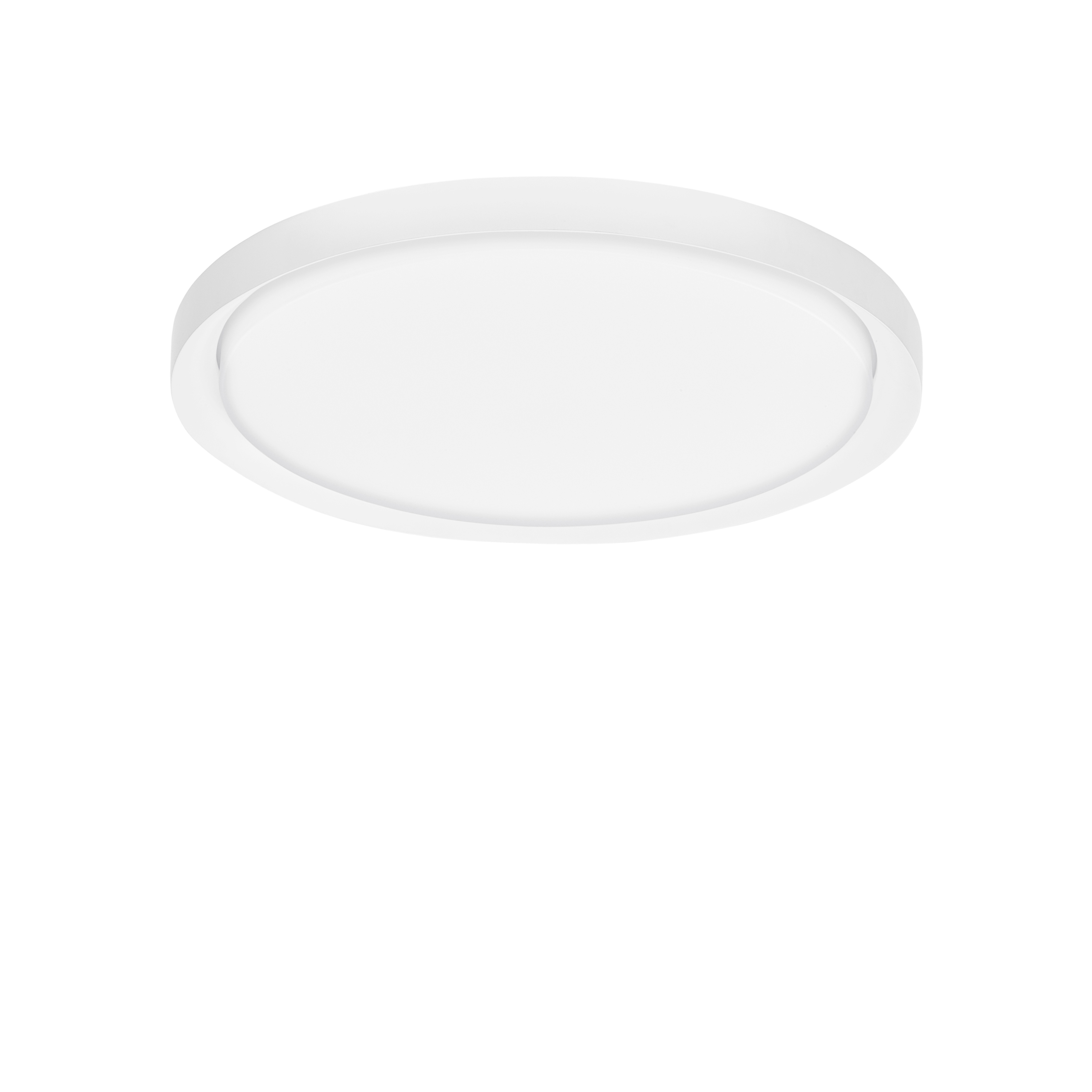TROY Decorative Ceiling Lamp