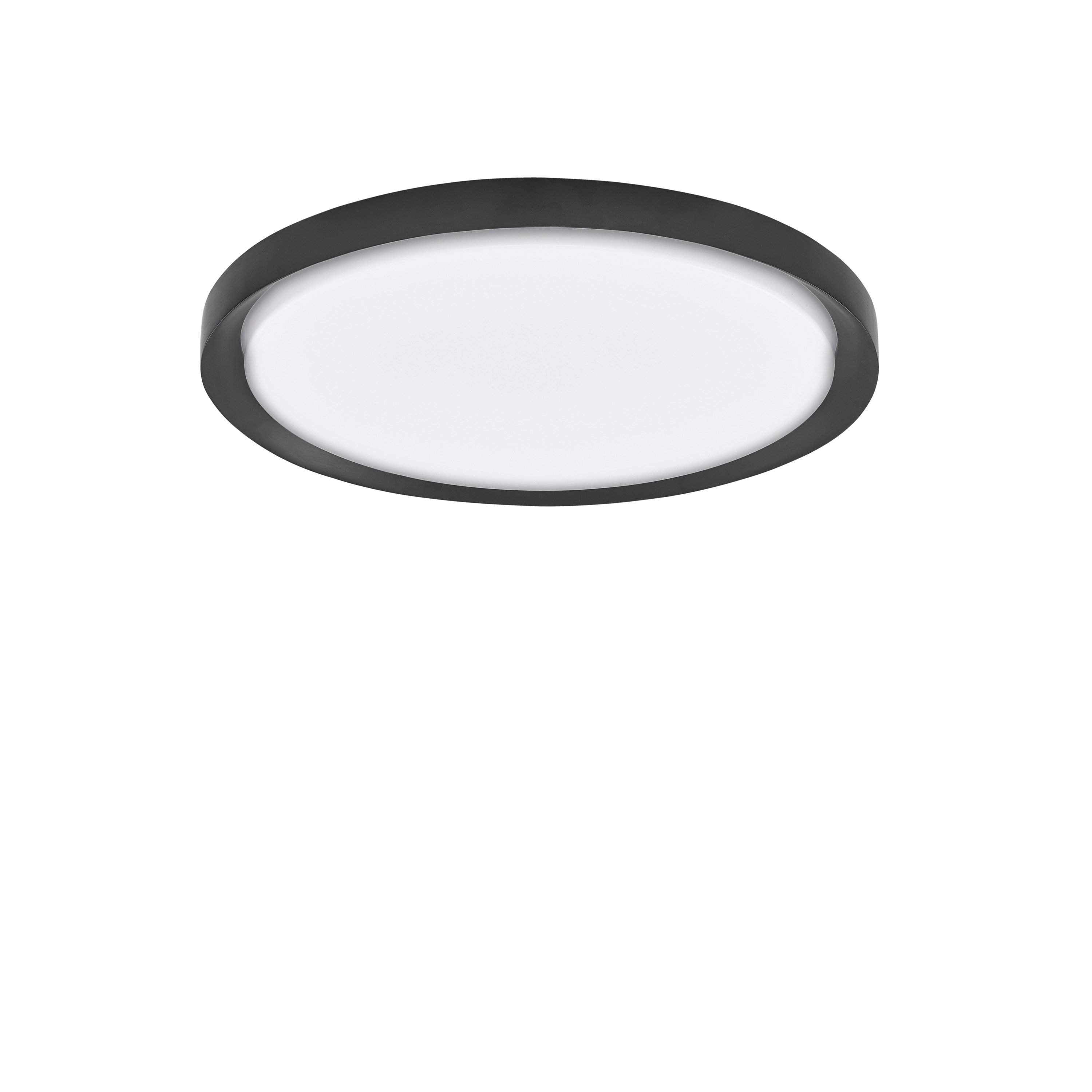 TROY Decorative Ceiling Lamp