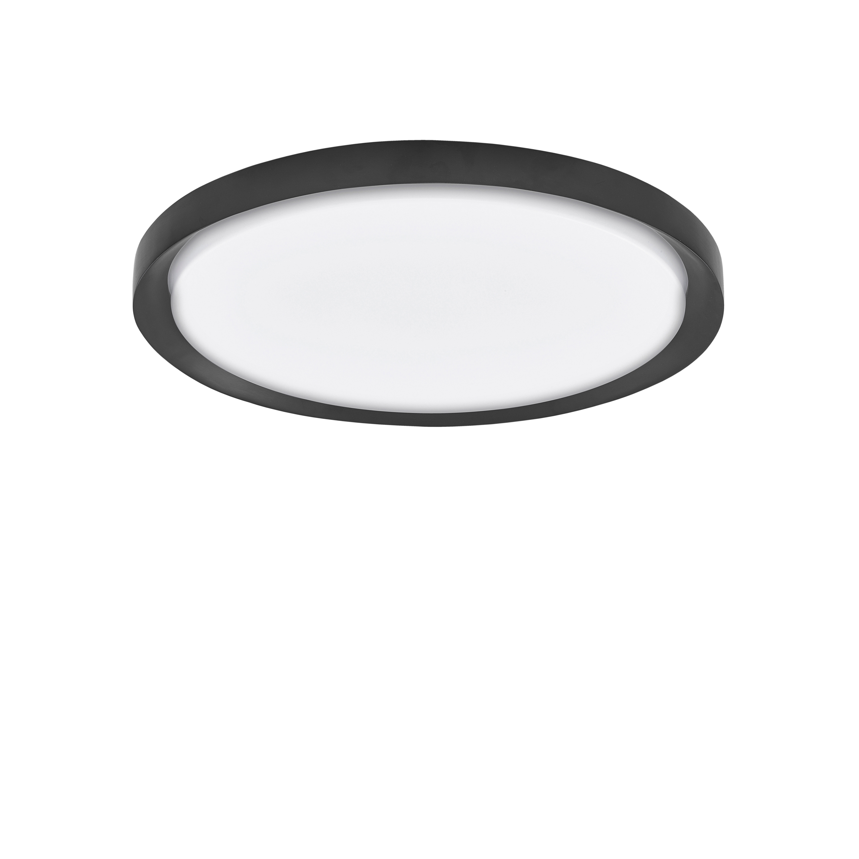 TROY Decorative Ceiling Lamp