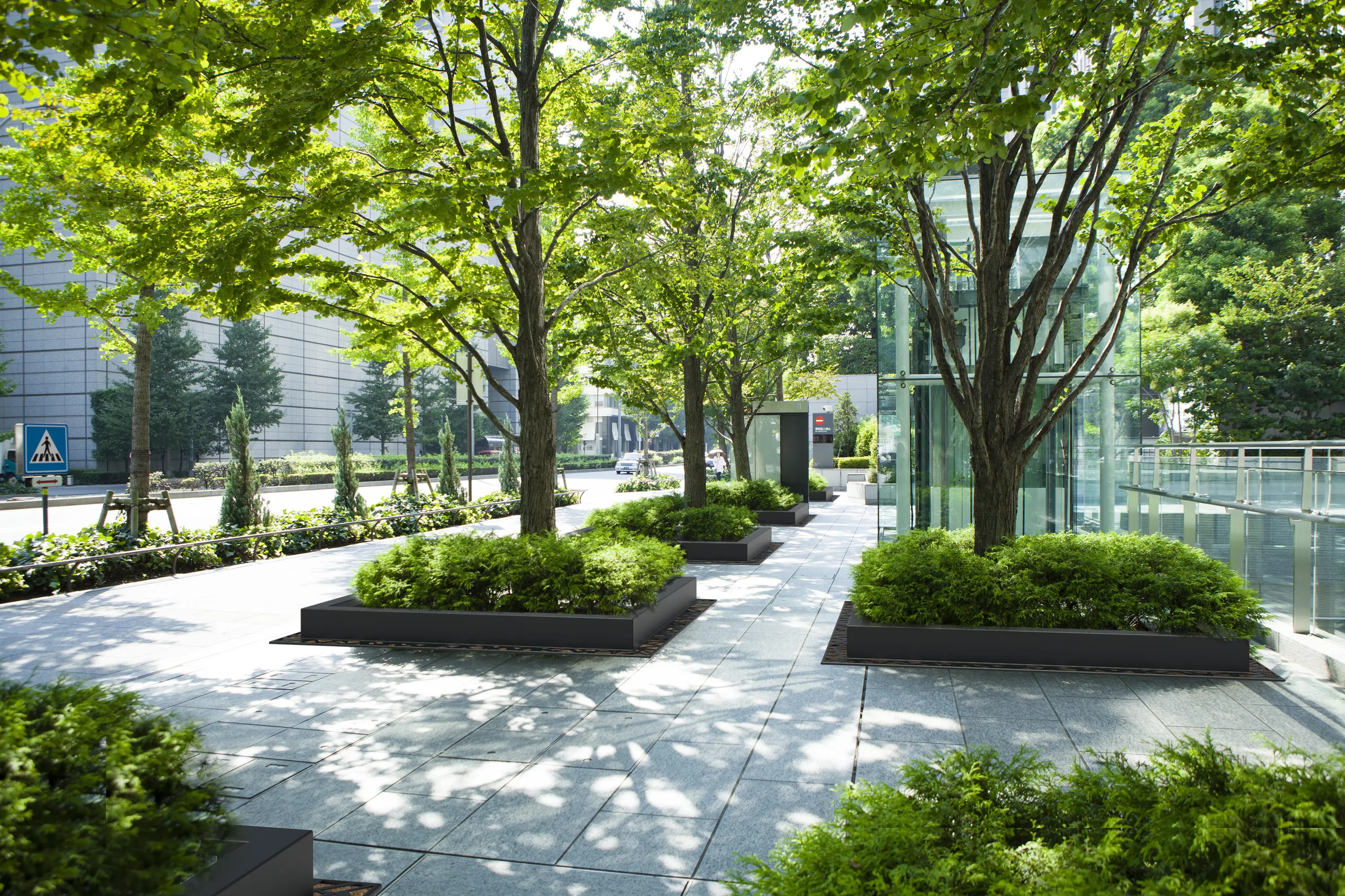 FURNS - TREE PITS Square