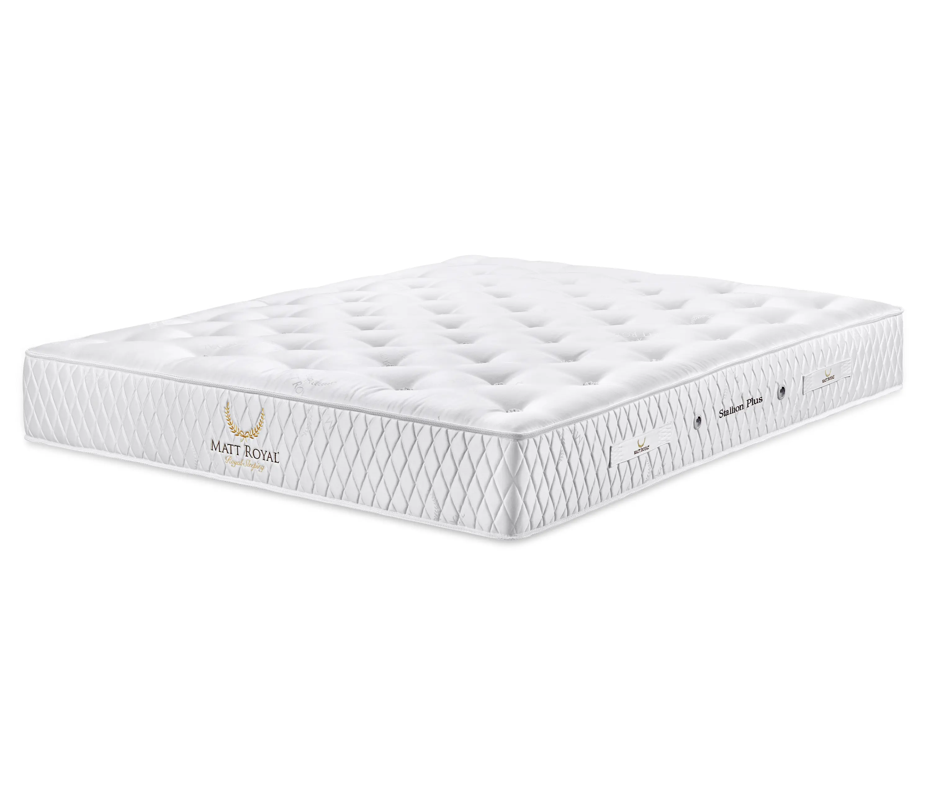 MATT ROYAL - Stallion Plus