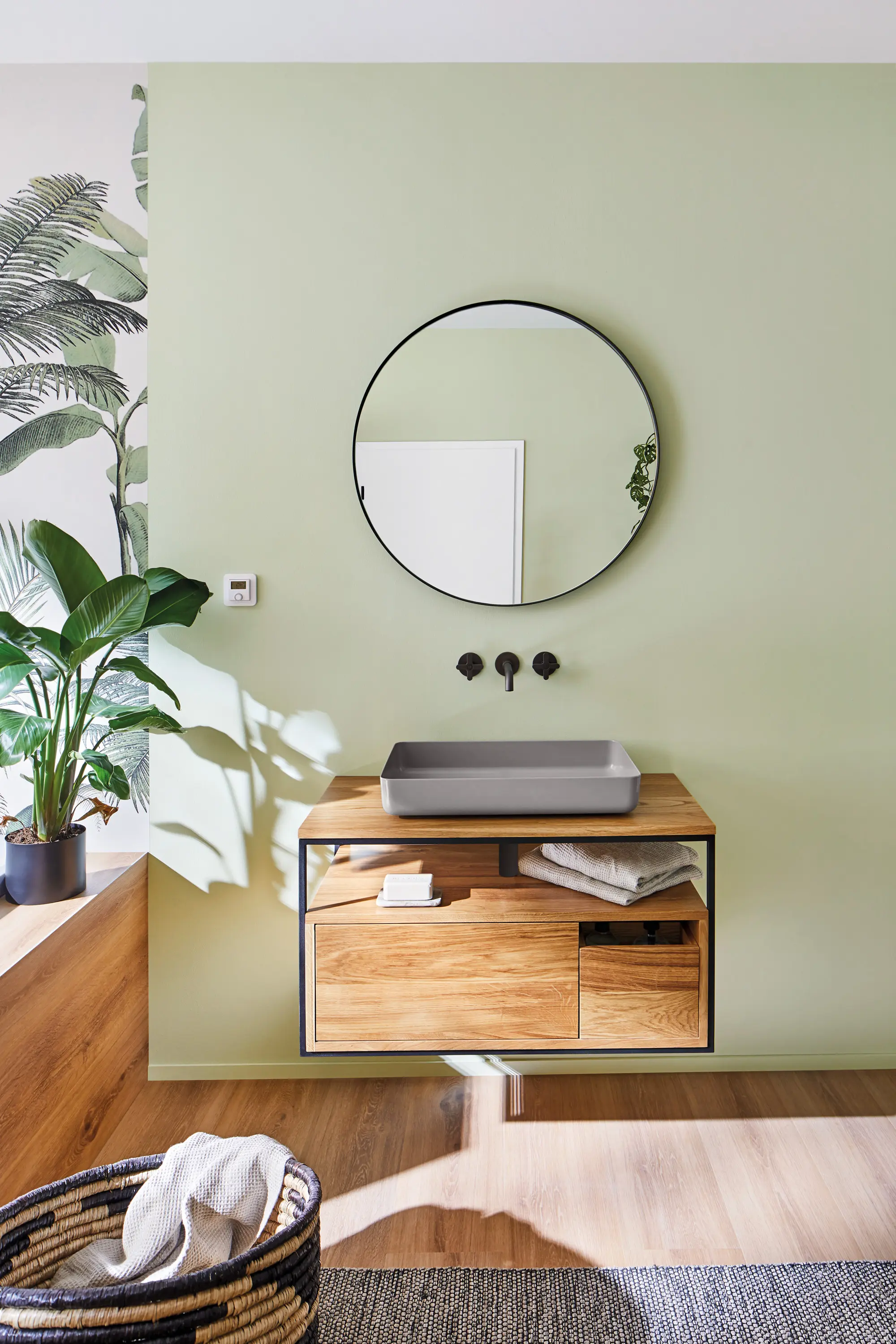 Lapidispa - Paion | Vanity