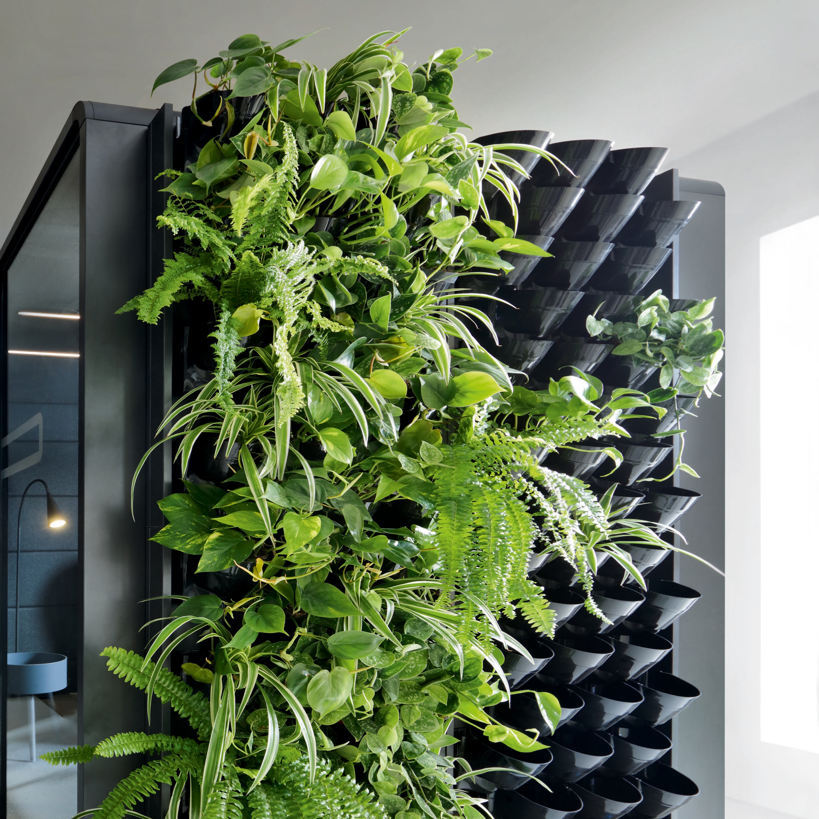 Display product Hushoffice | Agile Office | GreenWall-Living Wall for Pods from manufacturer Hushoffice