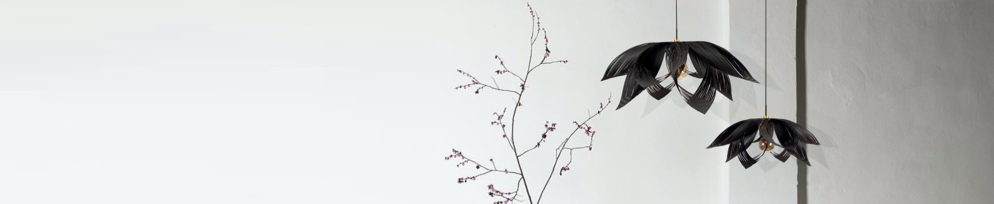 Scopri il mondo del produttore Si-LIGHT