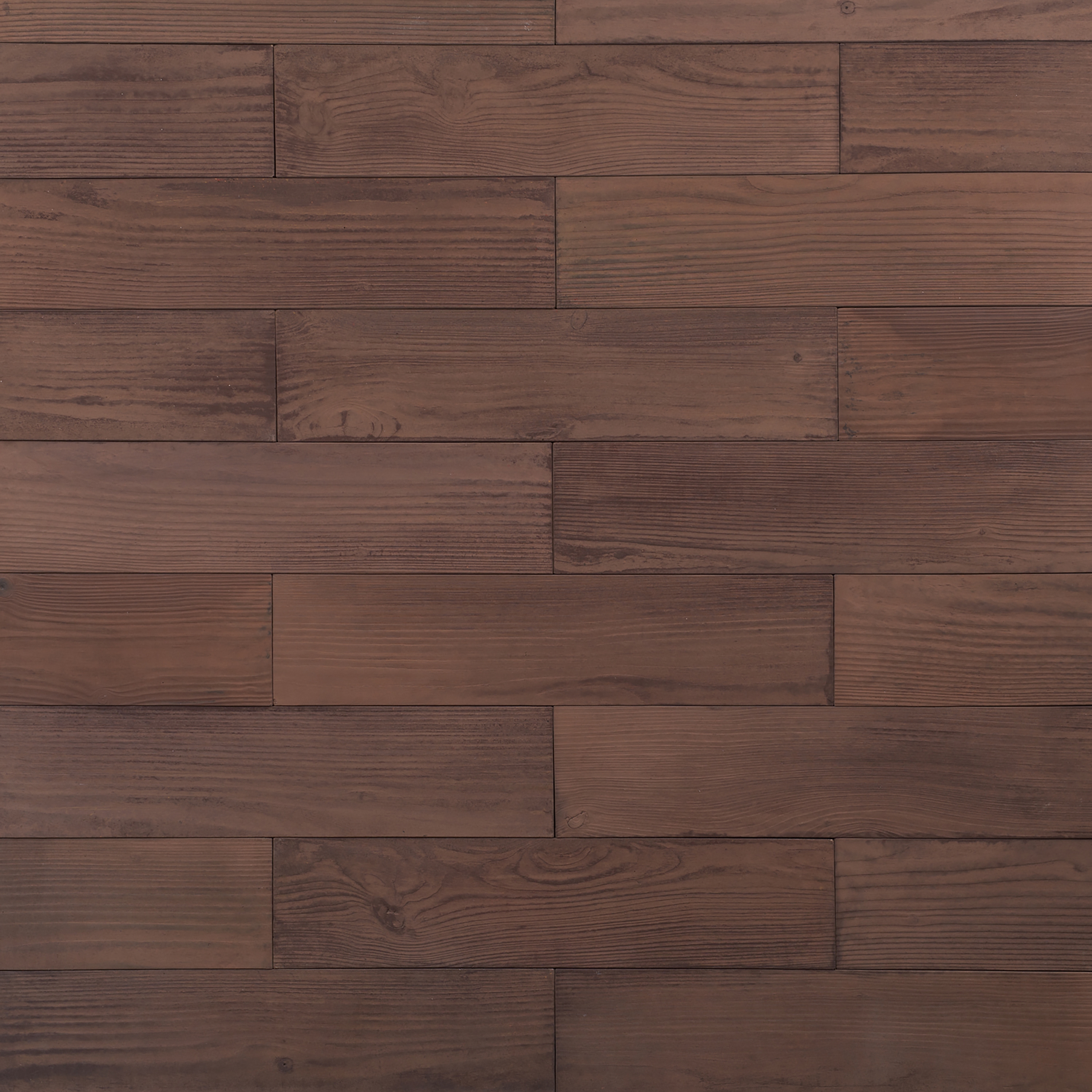 Sequoia